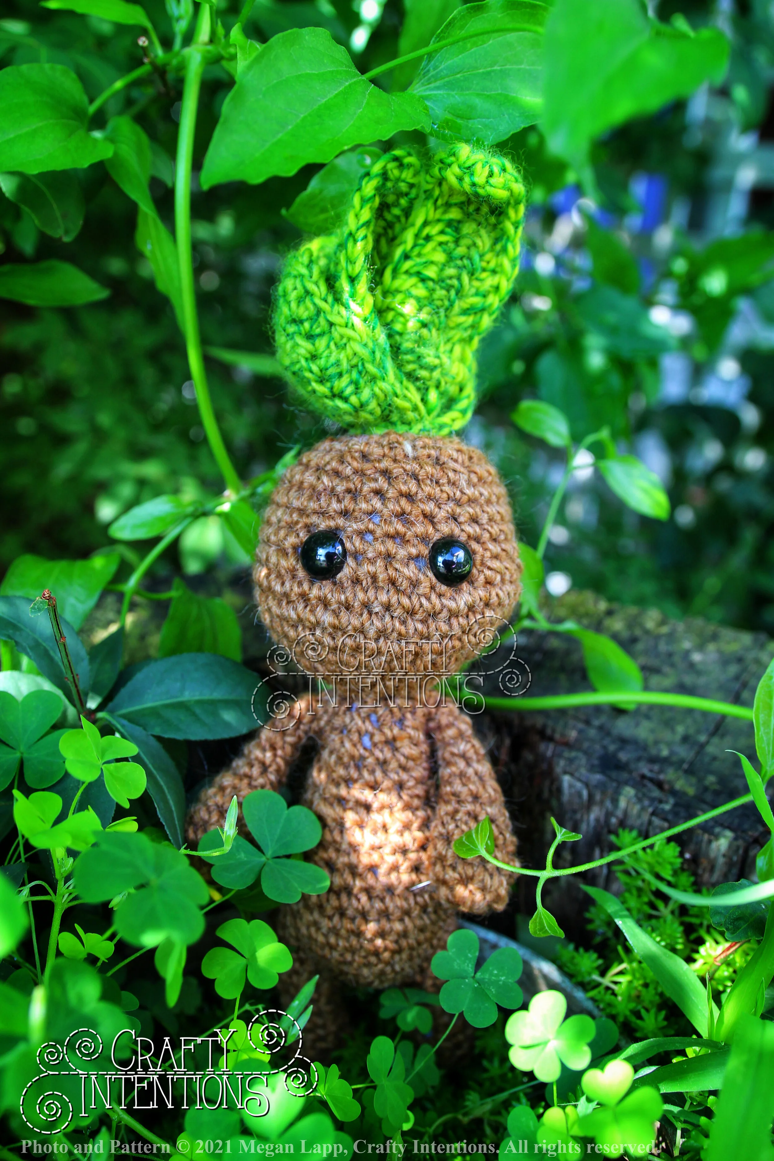 IMG_4329-02 with logo and copyright.jpg