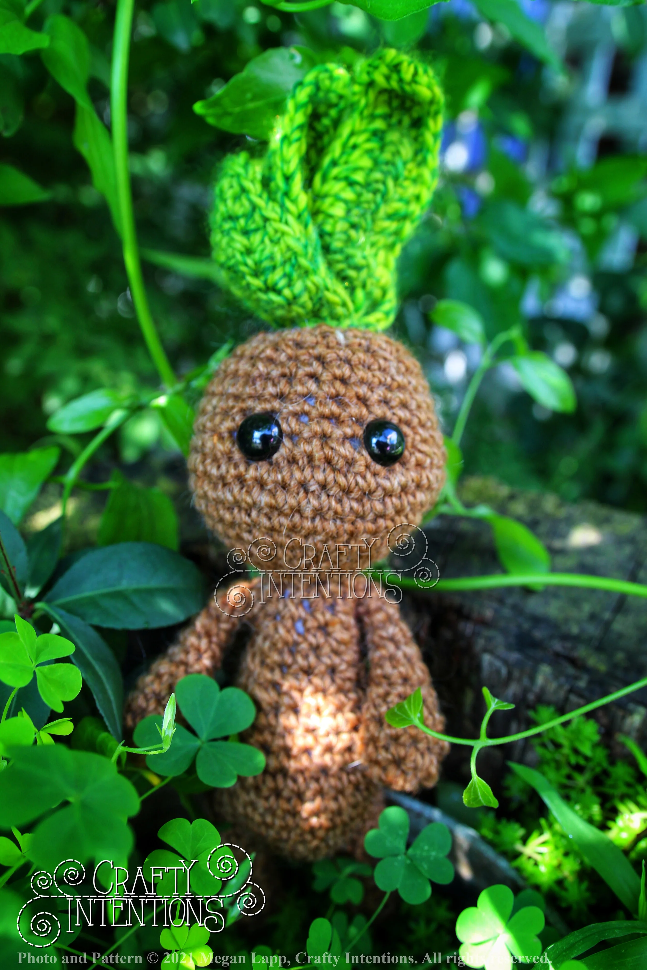 IMG_4335-01 with logo and copyright.jpg