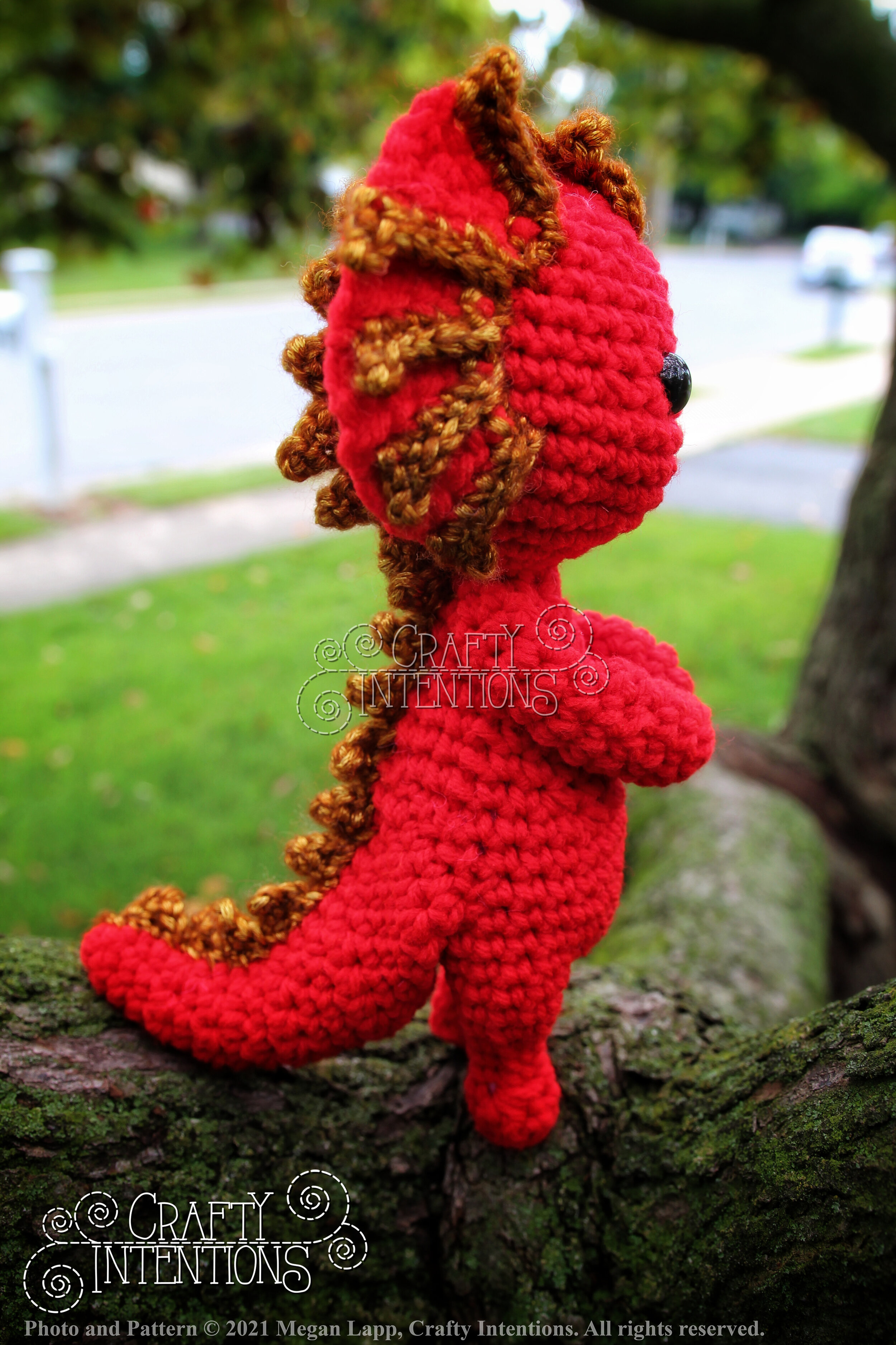 IMG_4464-01 with logo and copyright.jpg