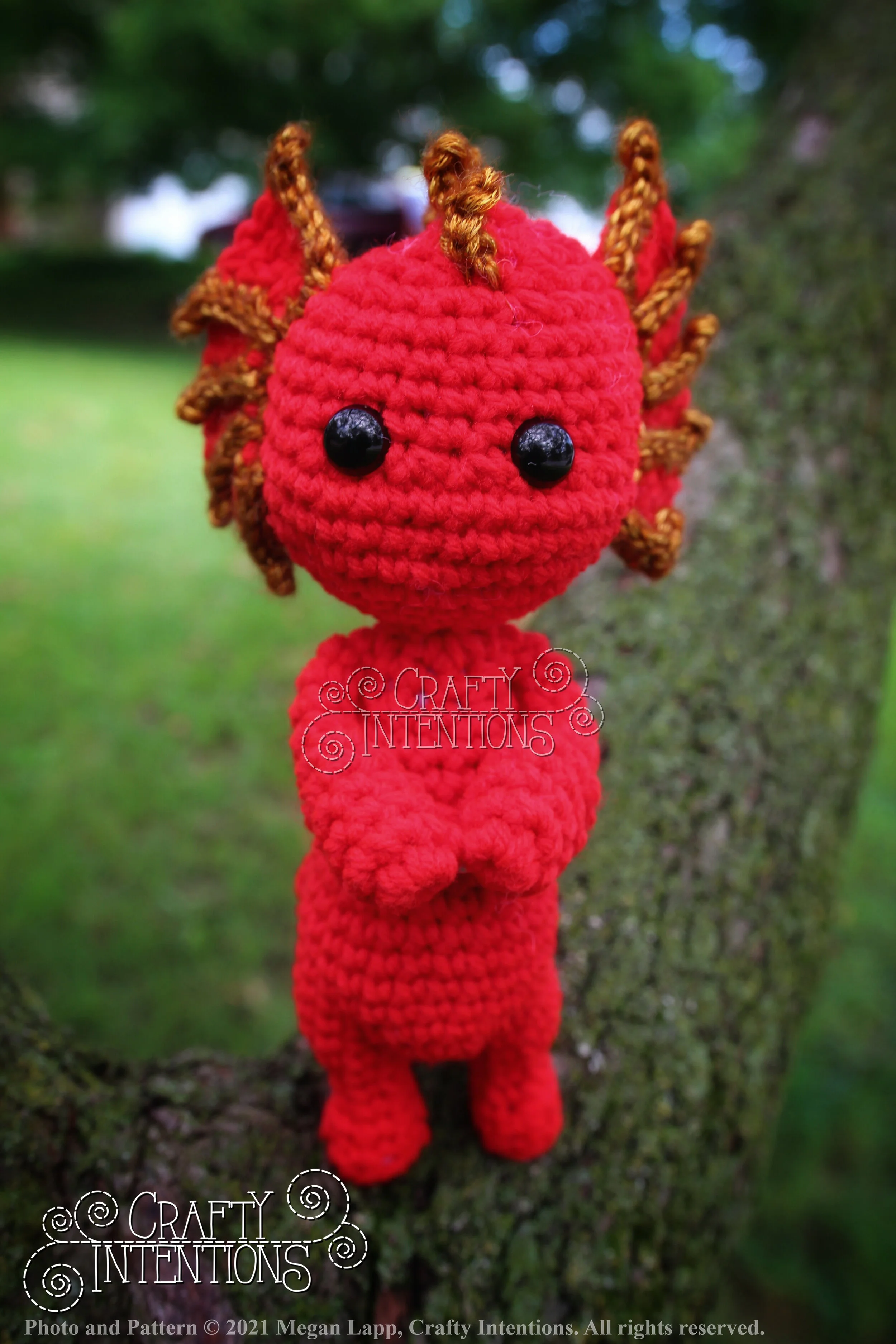 IMG_4494-01 with logo and copyright.jpg