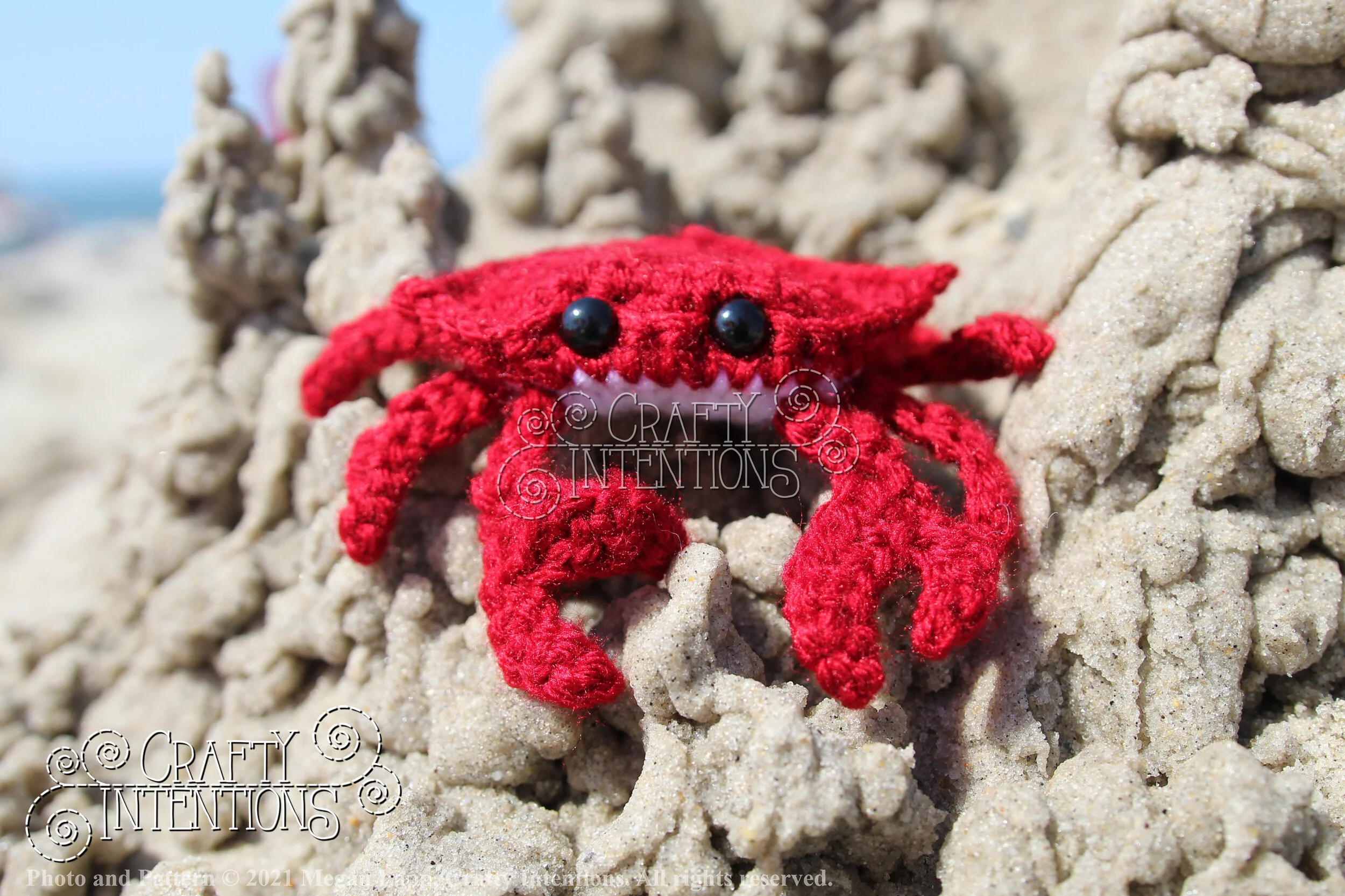 IMG_2095-01 with logo and copyright.jpg