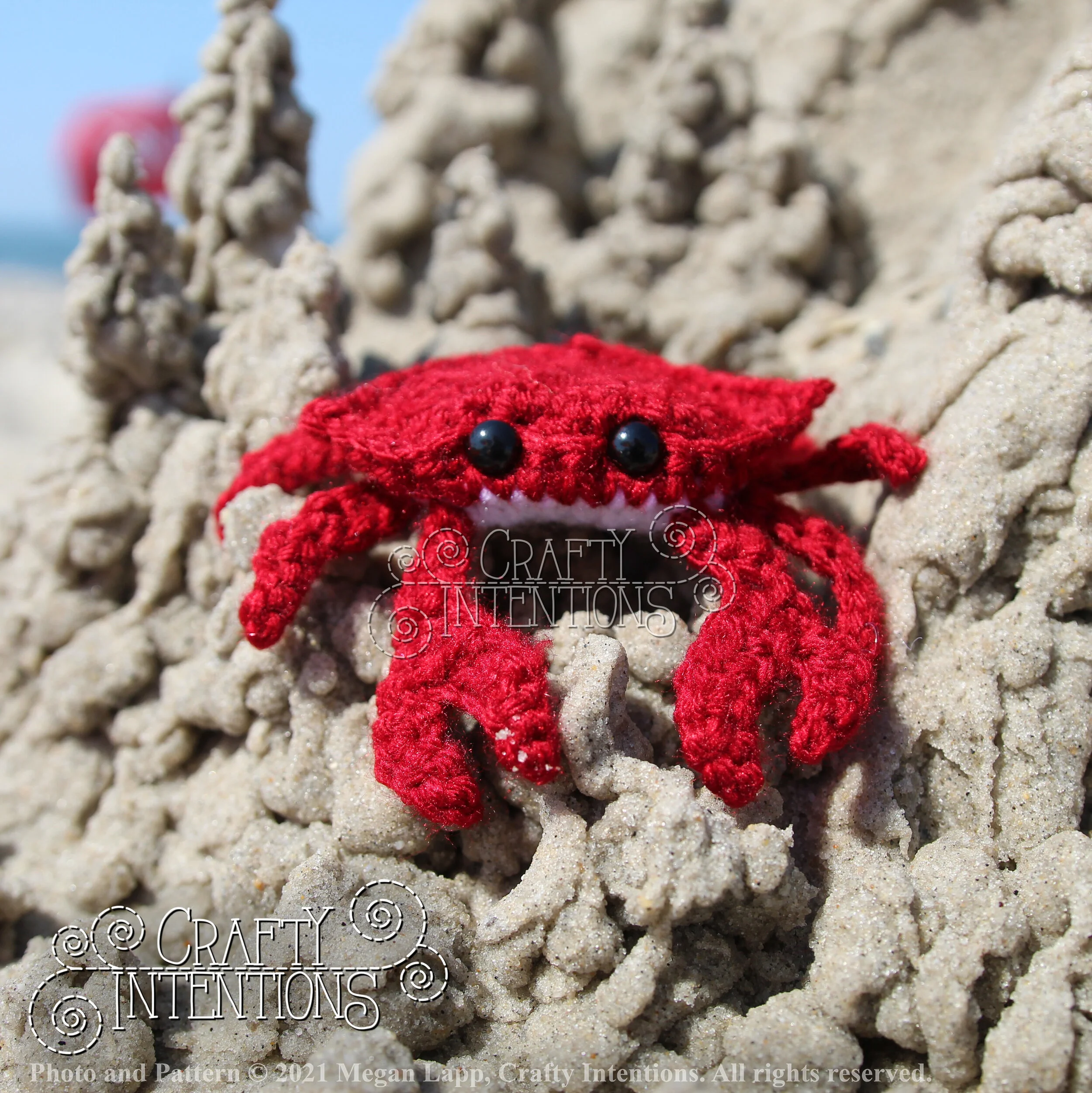 IMG_2108-01 with logo and copyright.jpg