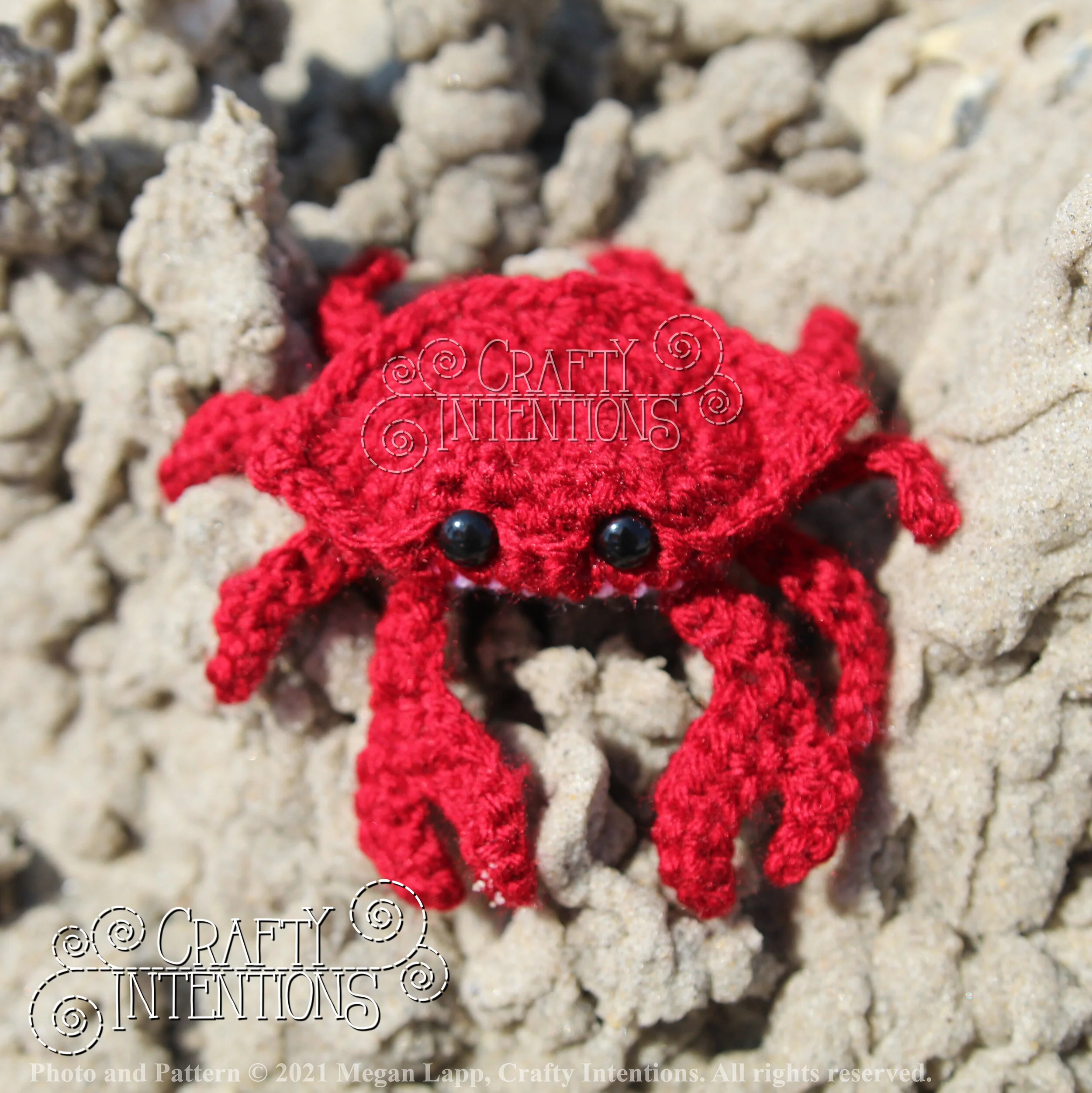 IMG_2114-01 with logo and copyright.jpg