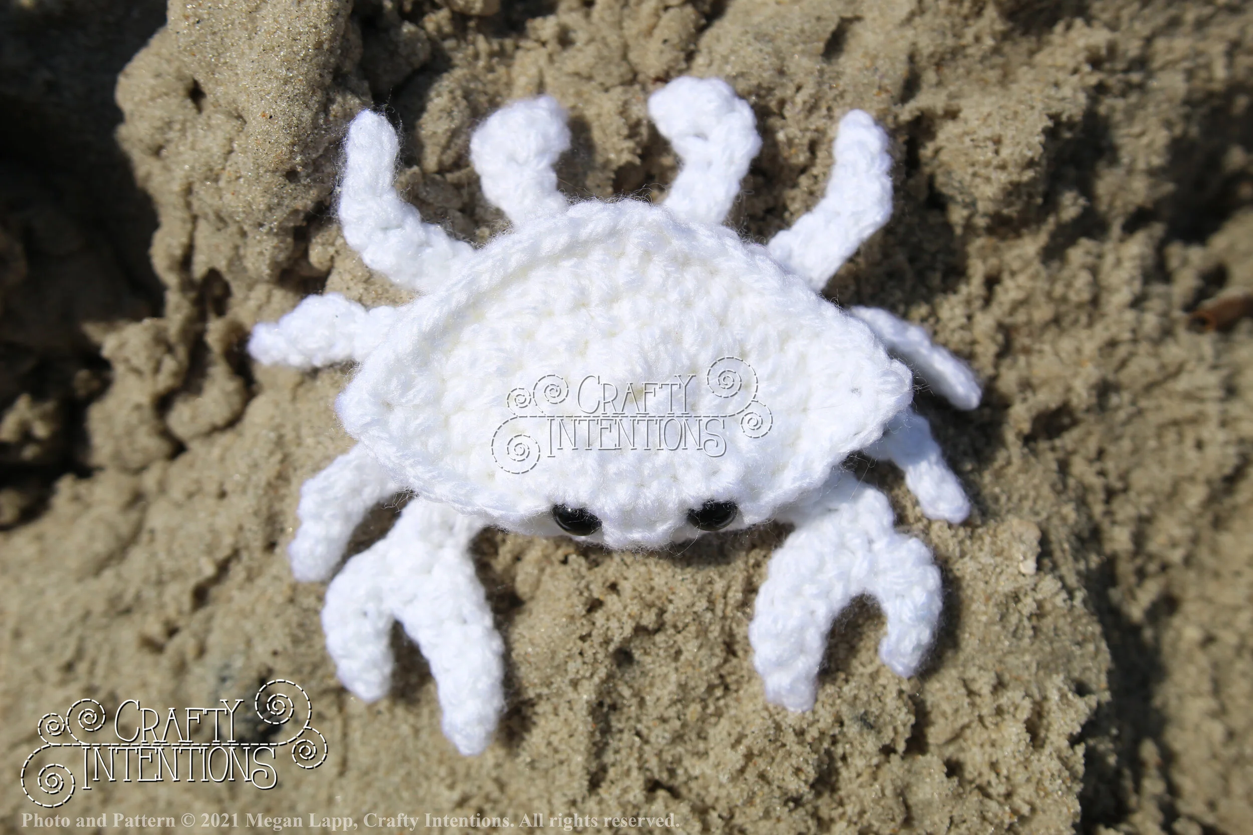 IMG_2175 with logo and copyright.jpg