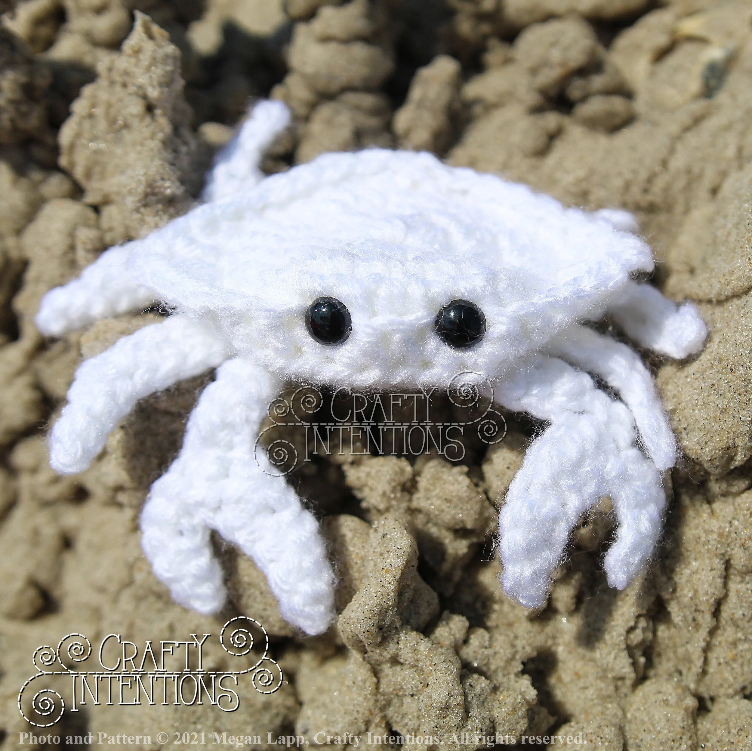 IMG_2185-01 with logo and copyright.jpg