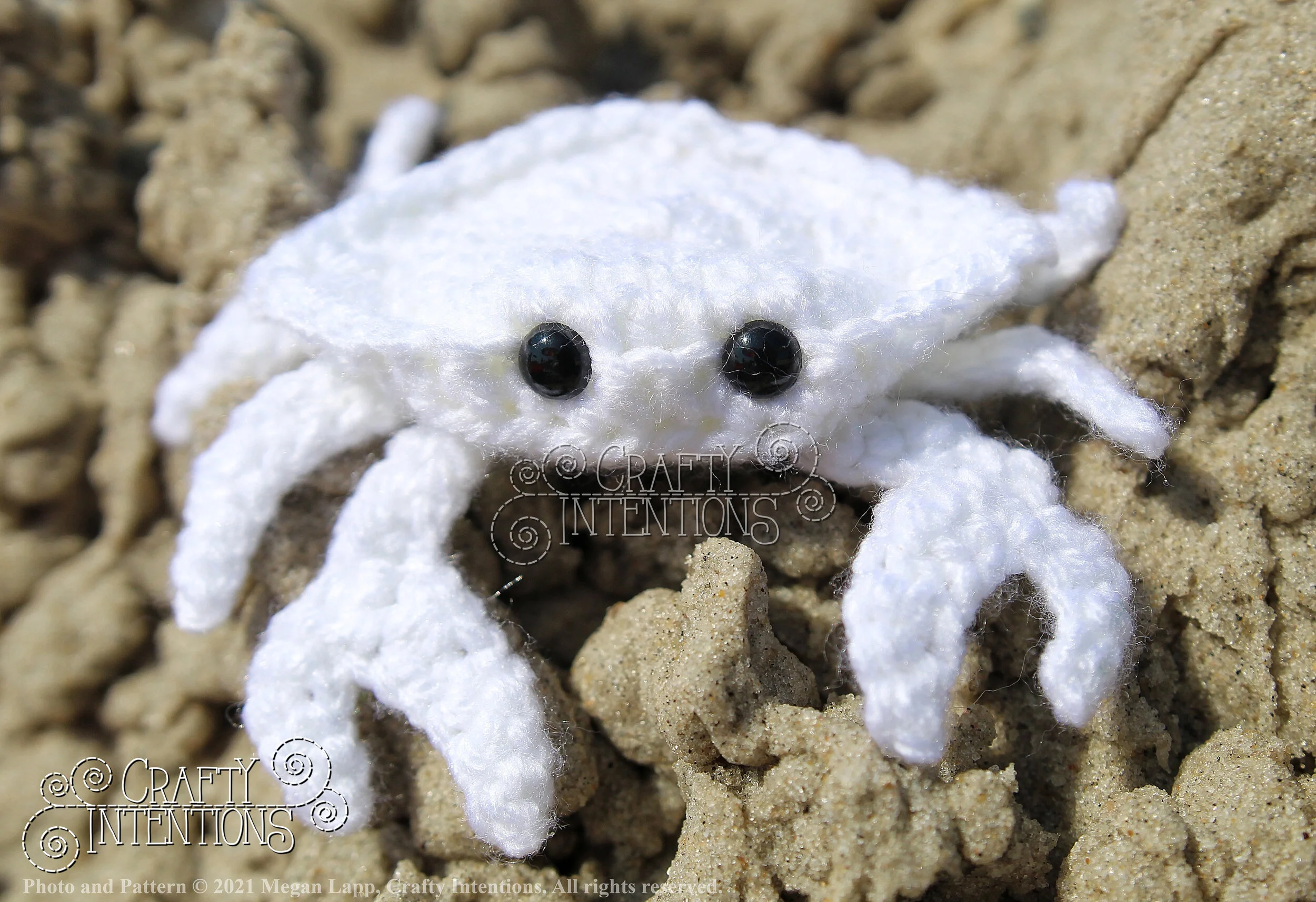 IMG_2217-01 with logo and copyright.jpg