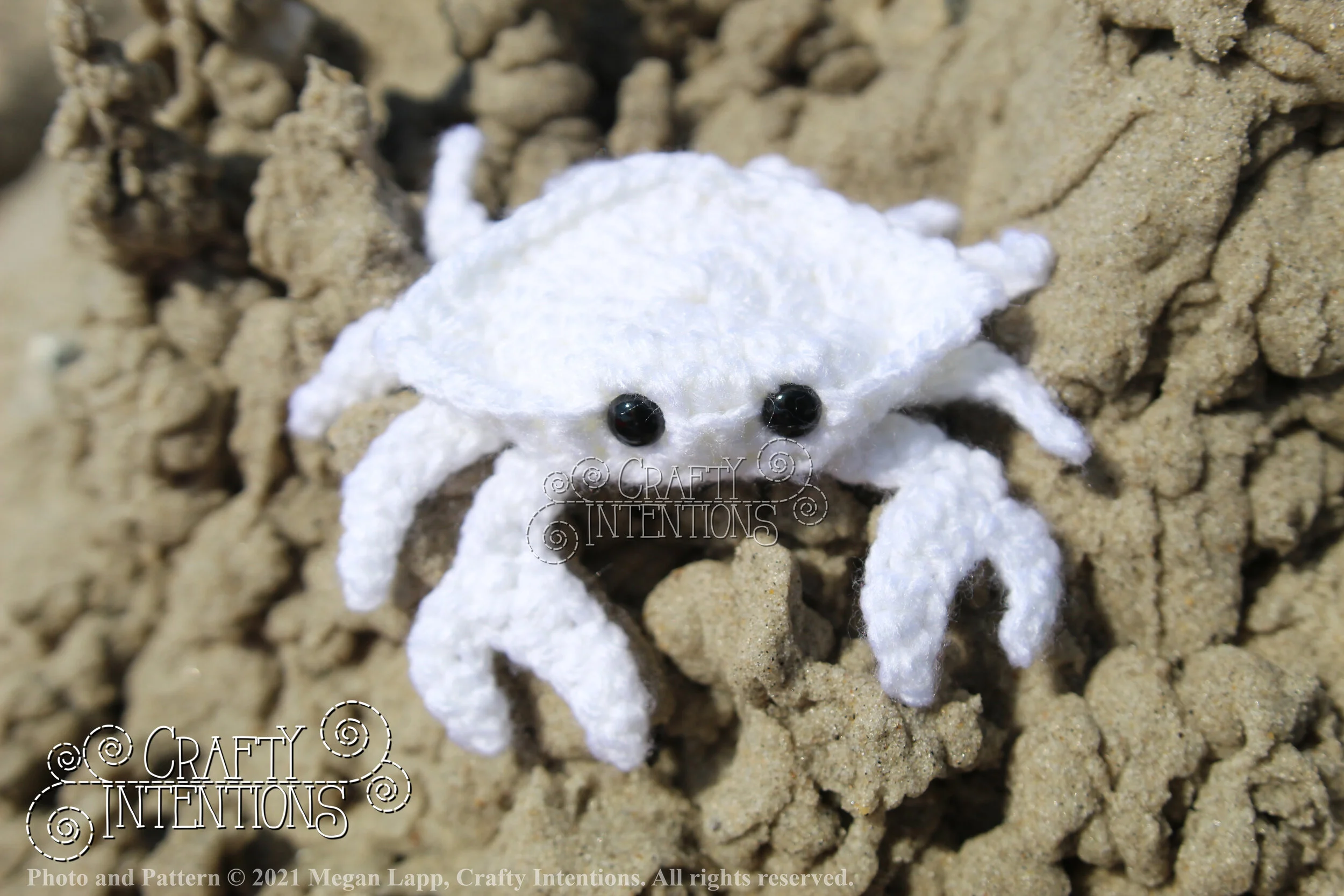 IMG_2225 with logo and copyright.jpg