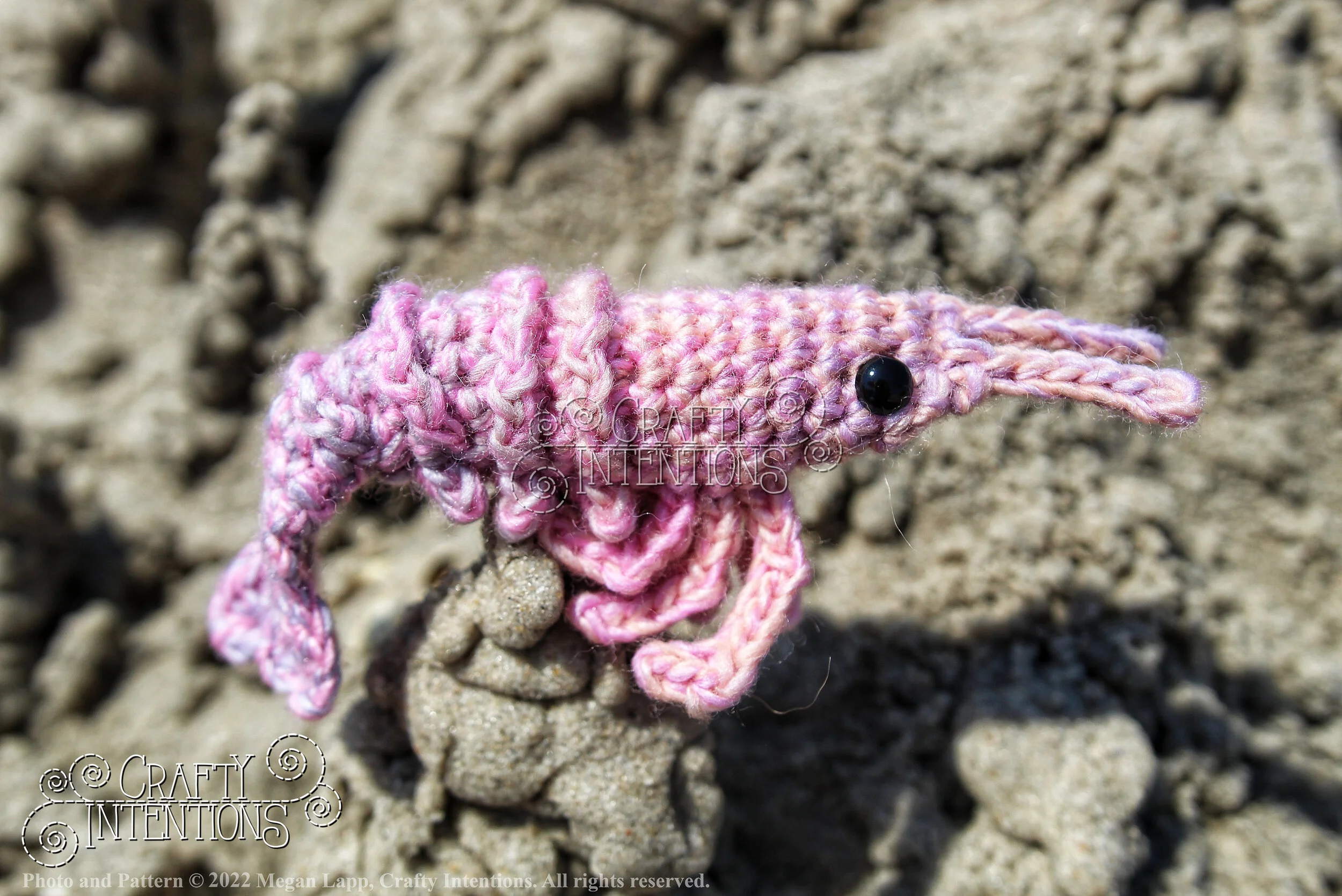 IMG_2424-01 with logo and copyright.jpg