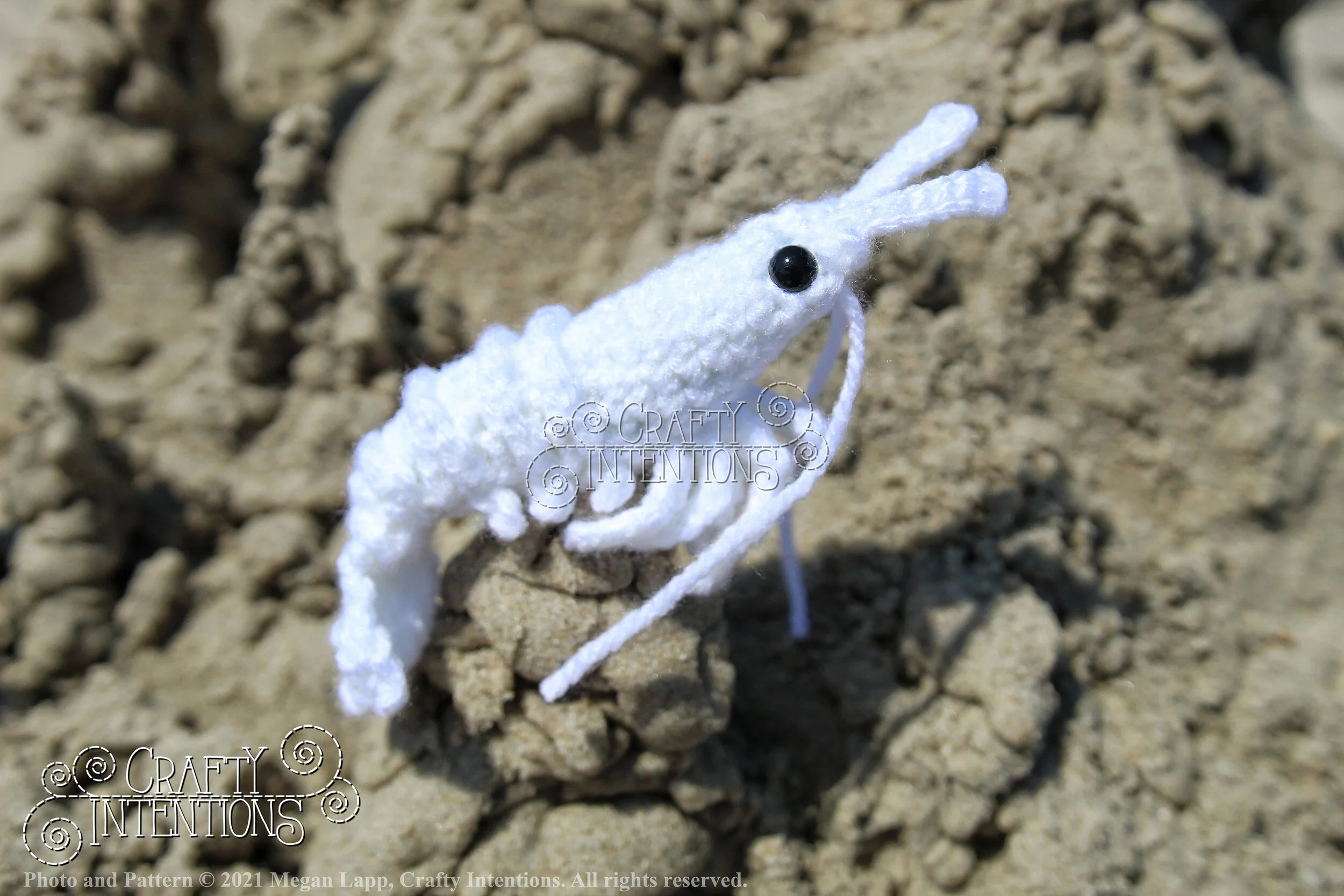 IMG_2513-01 with logo and copyright.jpg