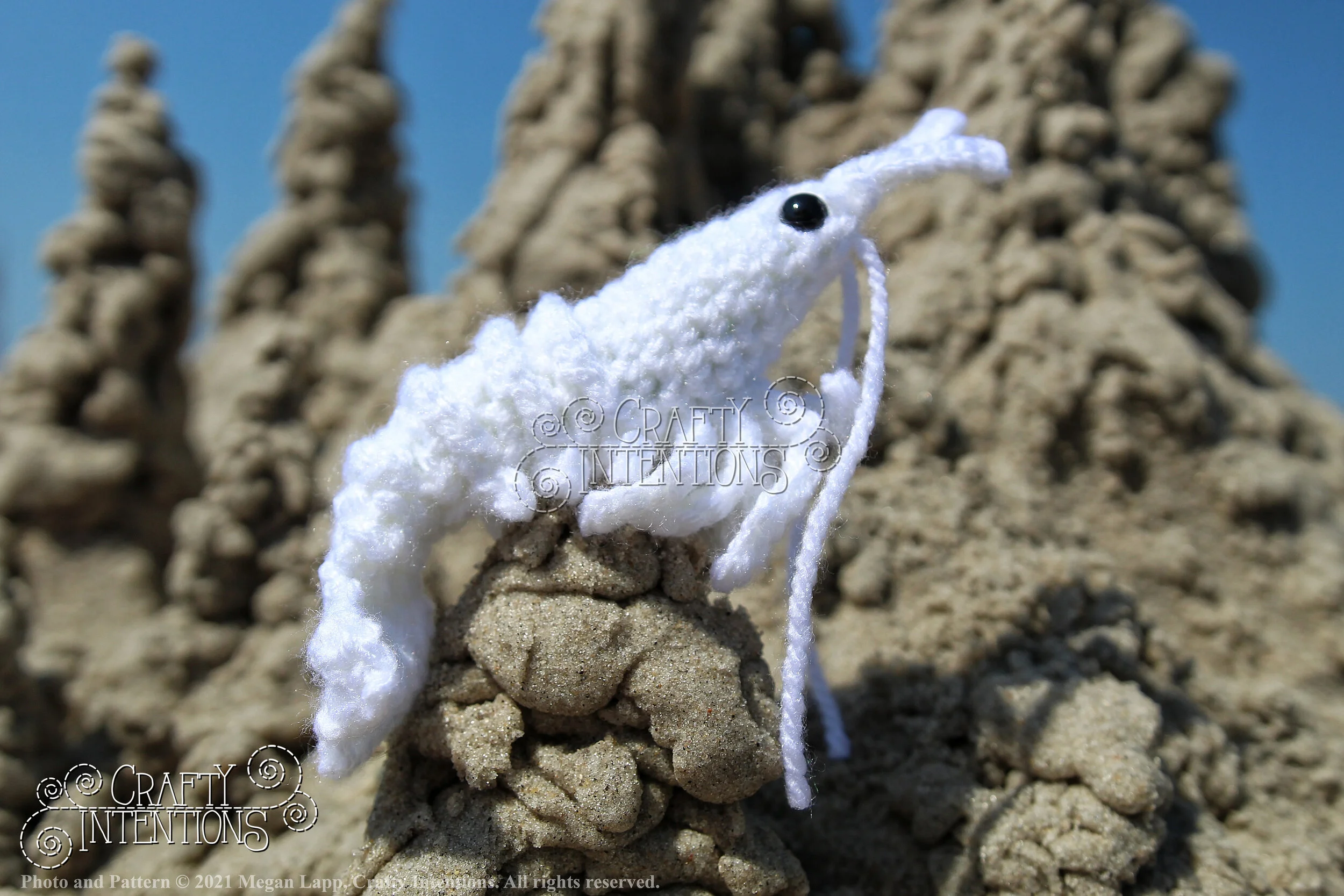 IMG_2520-01 with logo and copyright.jpg