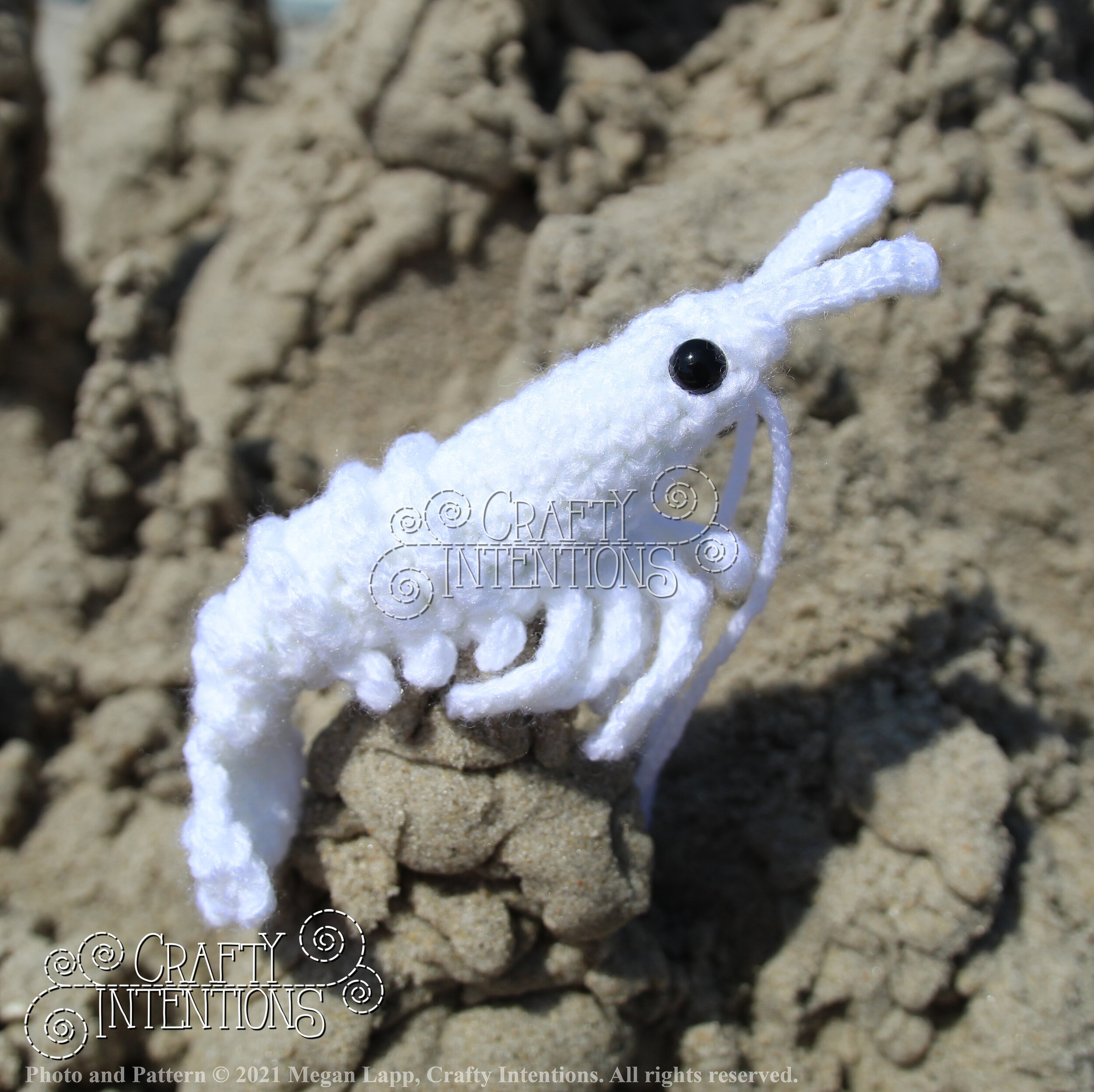 IMG_2545-01 with logo and copyright.jpg