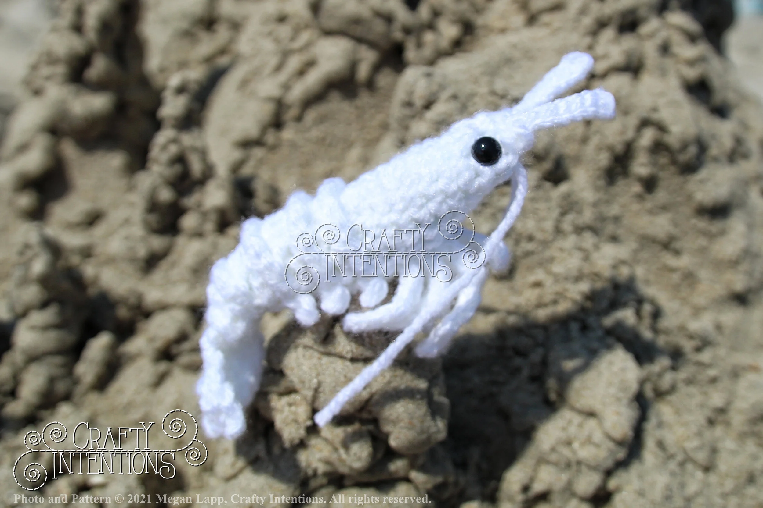 IMG_2574-01 with logo and copyright.jpg