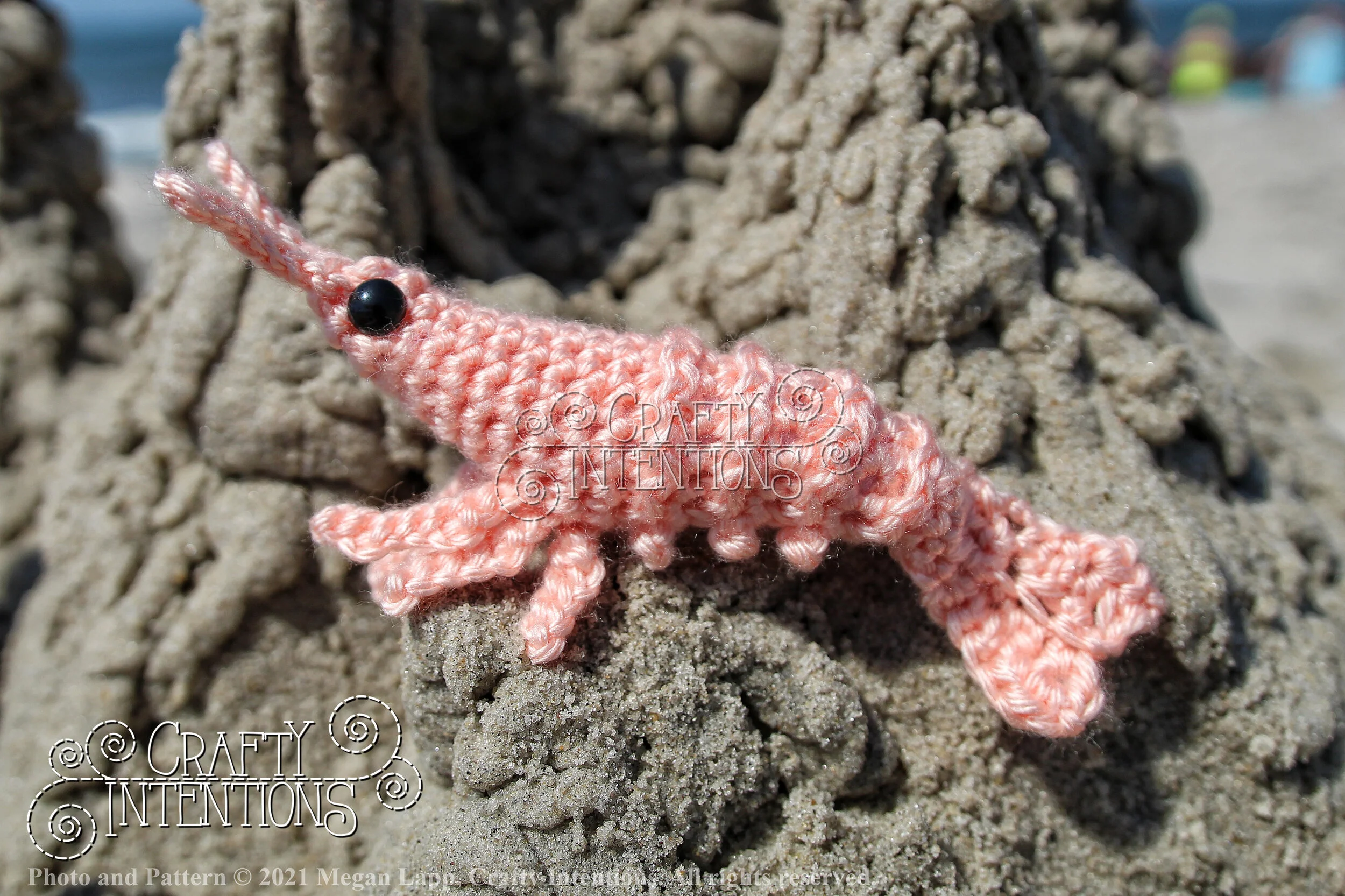 IMG_2576-01 with logo and copyright.jpg