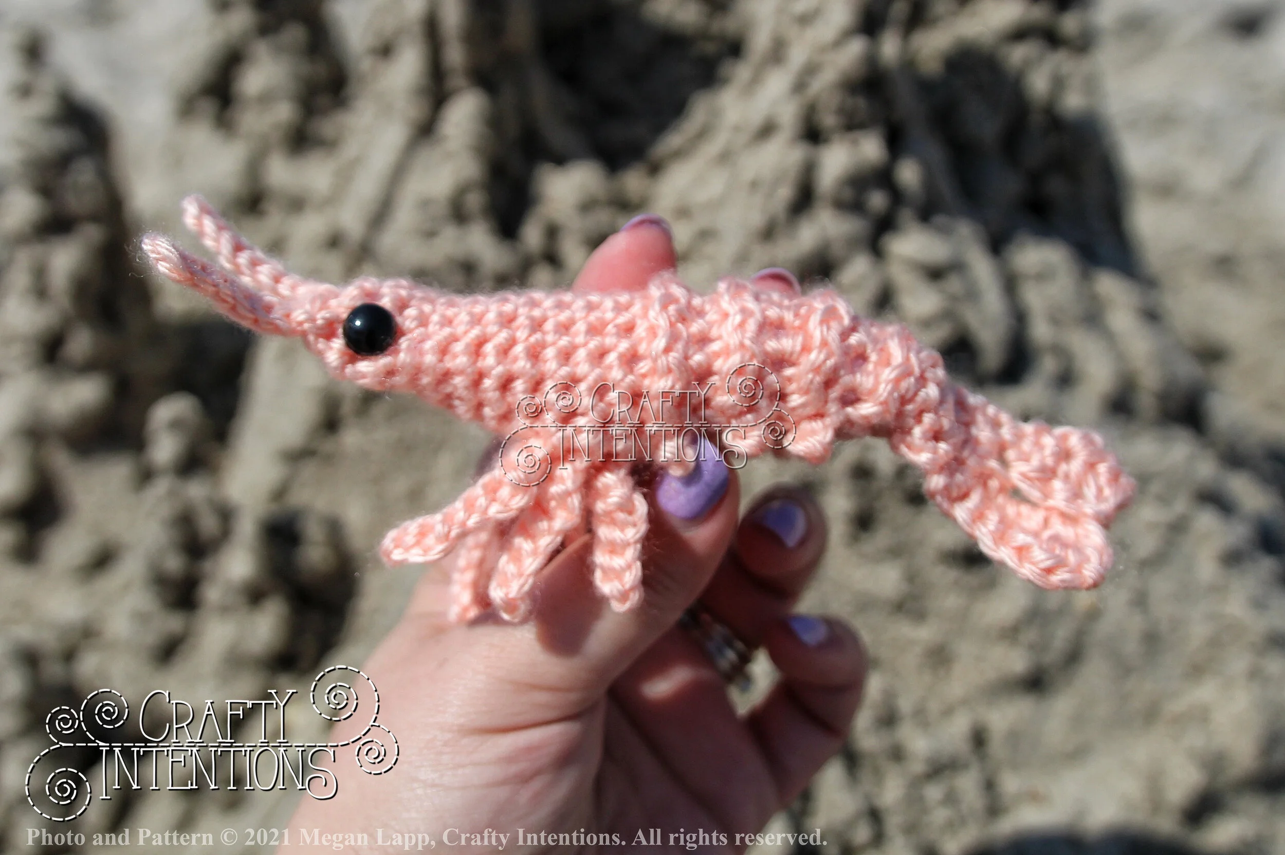 IMG_2596-01 with copyright and logo.jpg