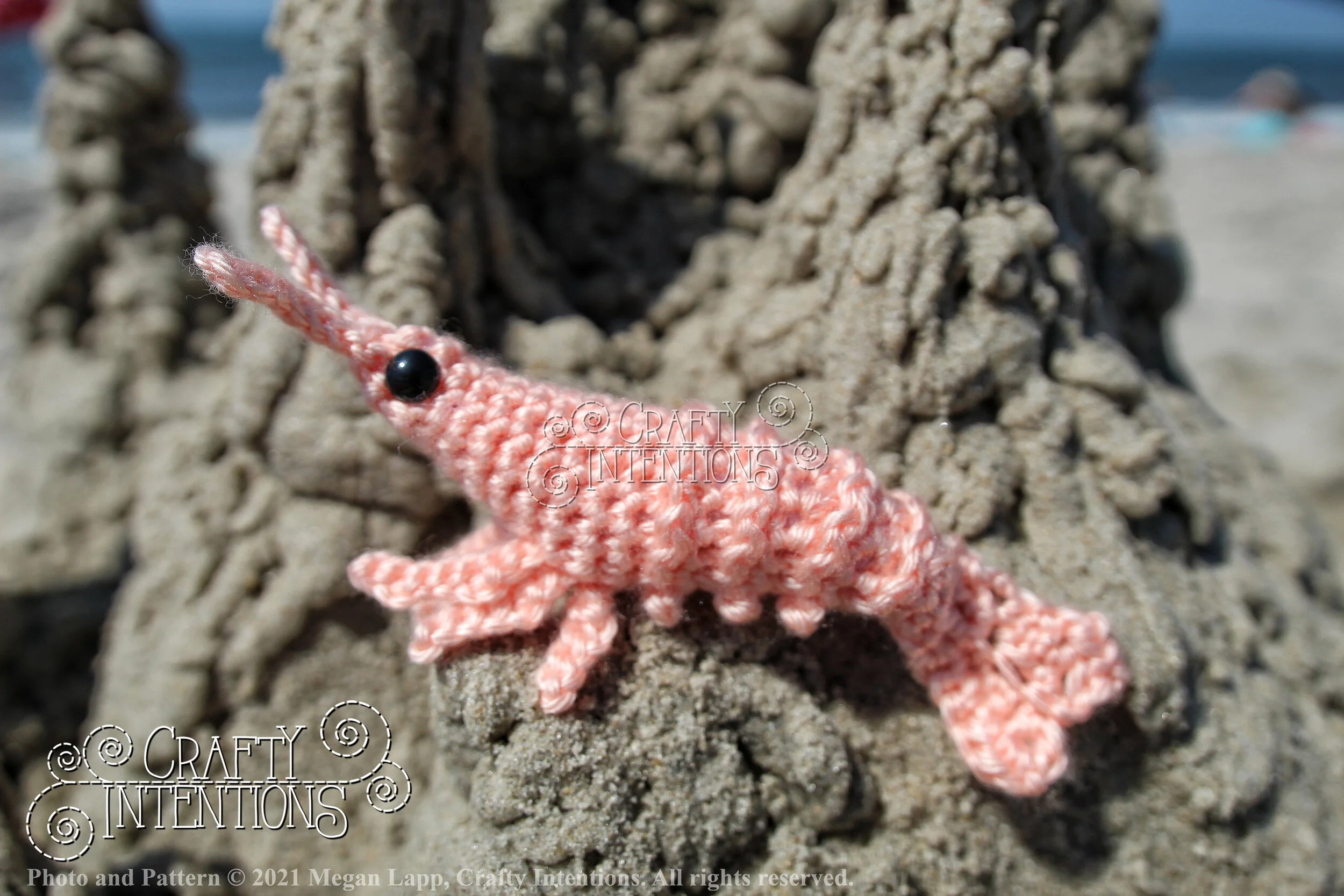 IMG_2587-01 with logo and copyright.jpg