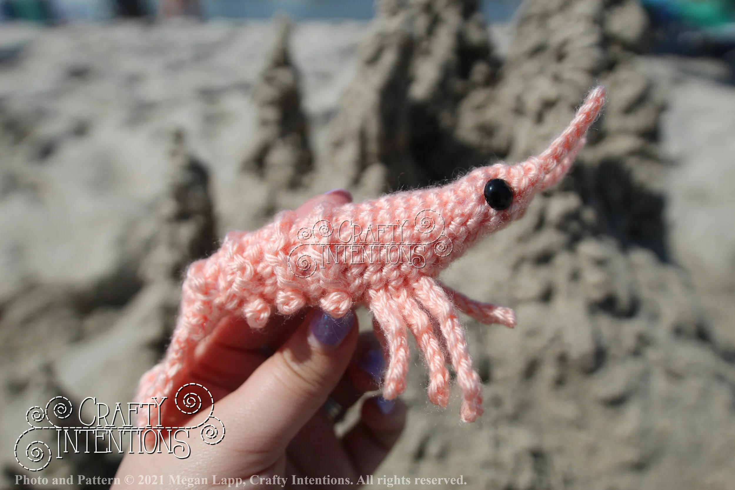 IMG_2607 with logo and copyright.jpg