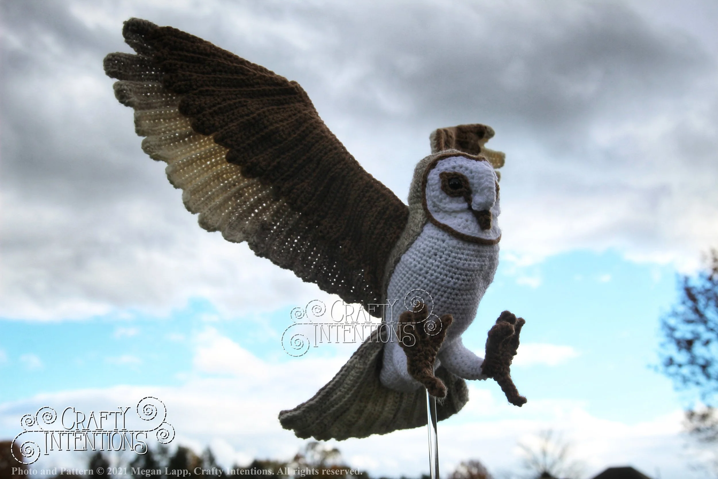 IMG_0001-01 with logo and copyright.jpg