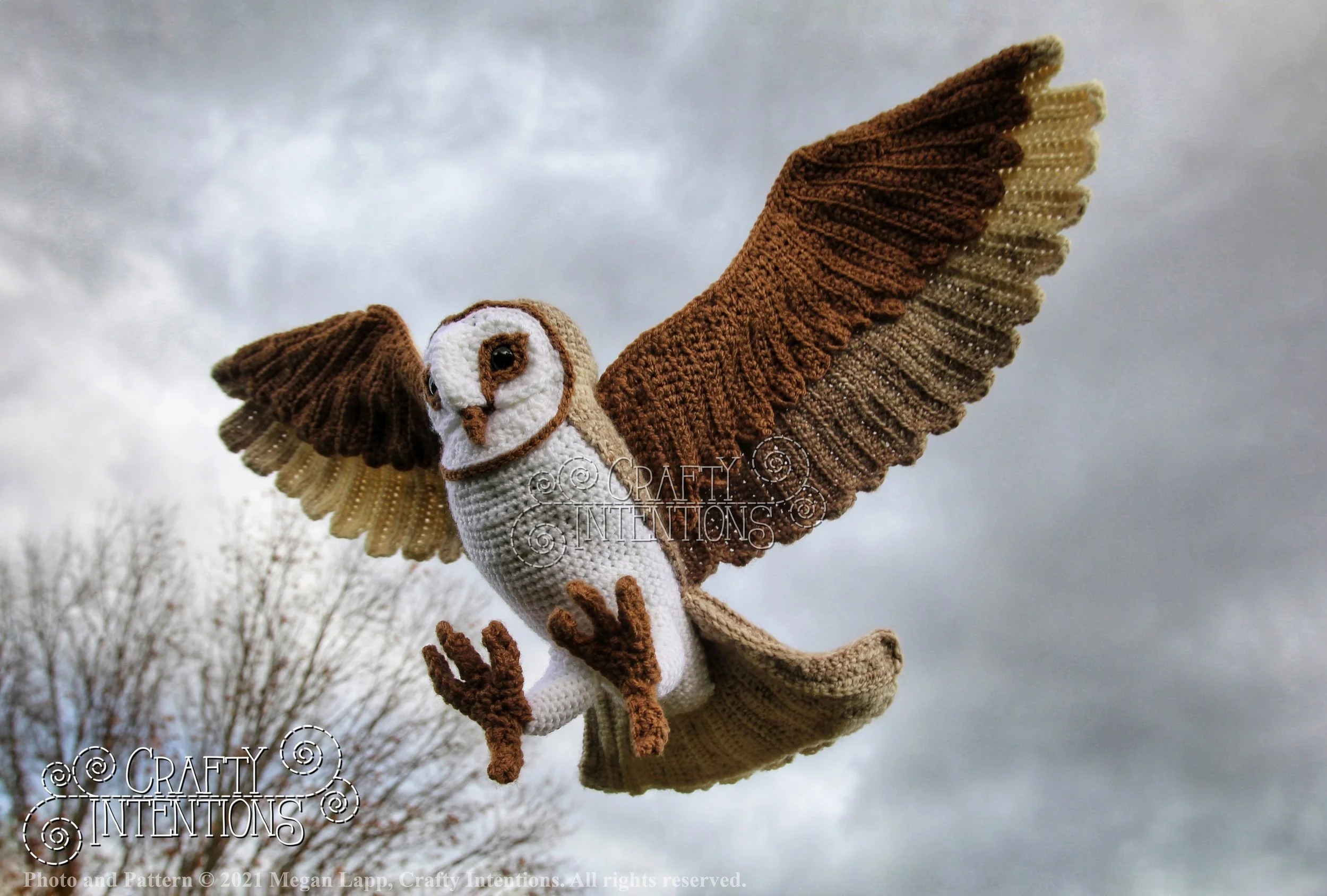 IMG_0049-01 LL with logo and copyright.jpg