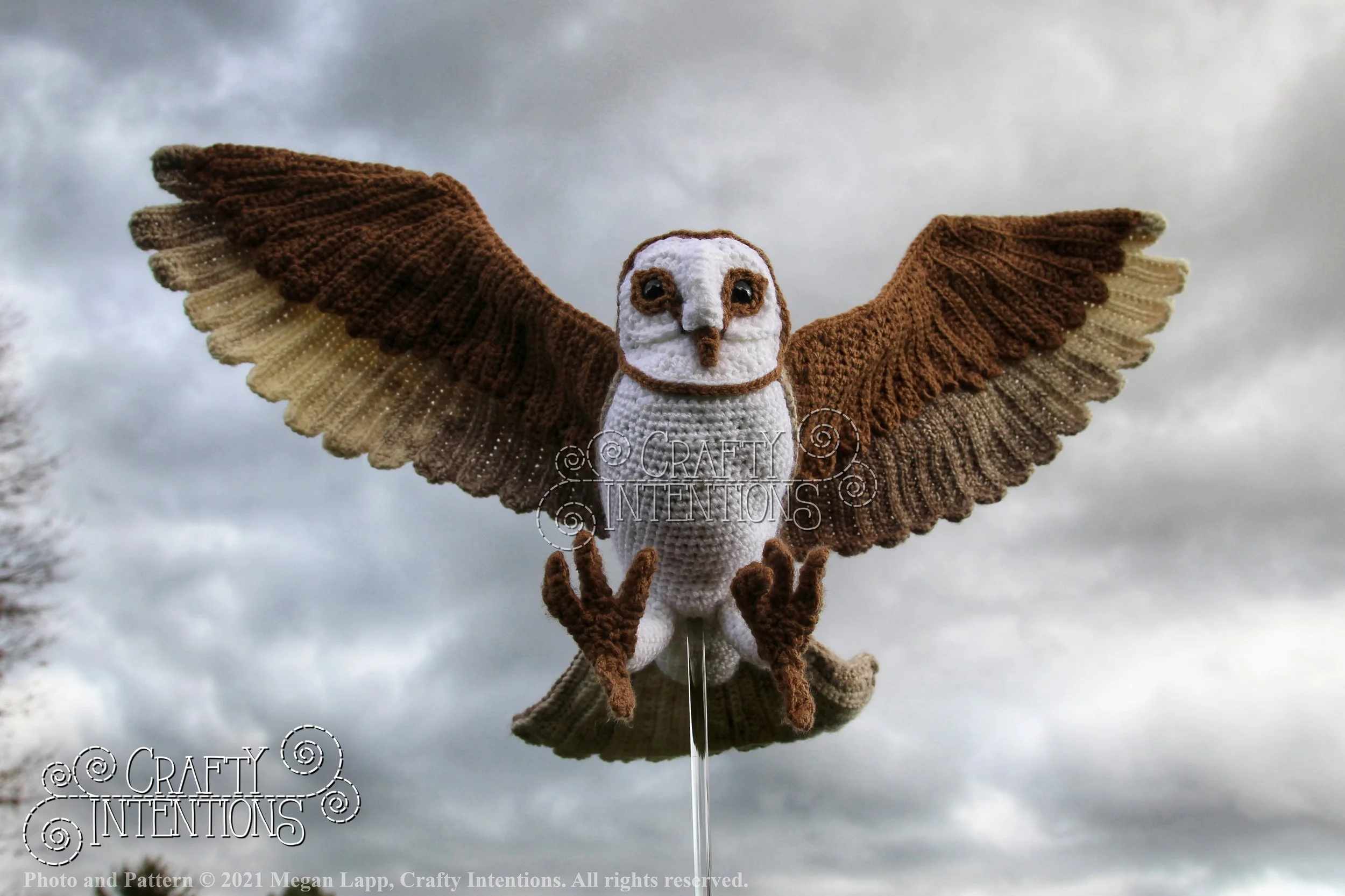 IMG_0067-01 with logo and copyright.jpg