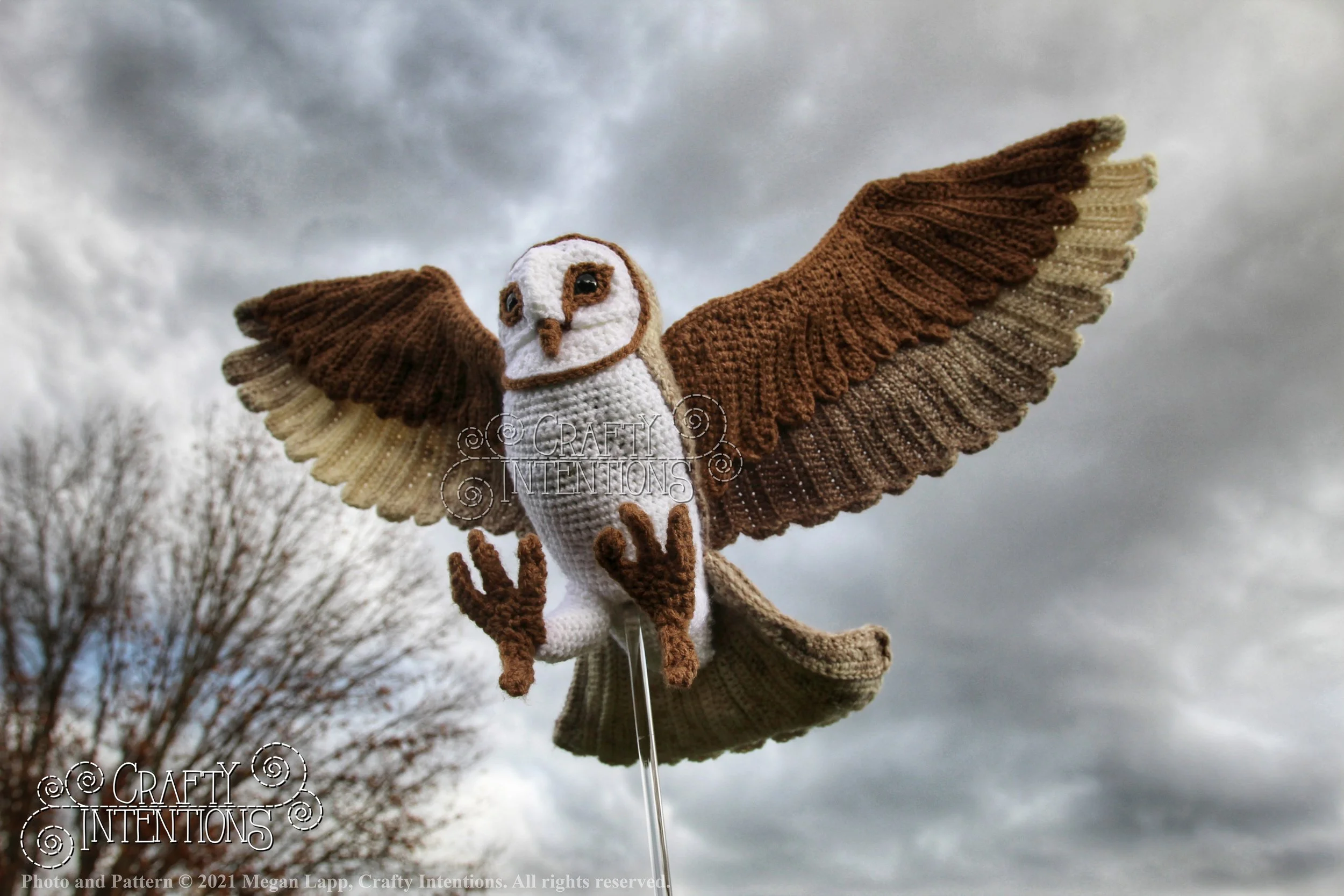 IMG_0063-01 with logo and copyright.jpg