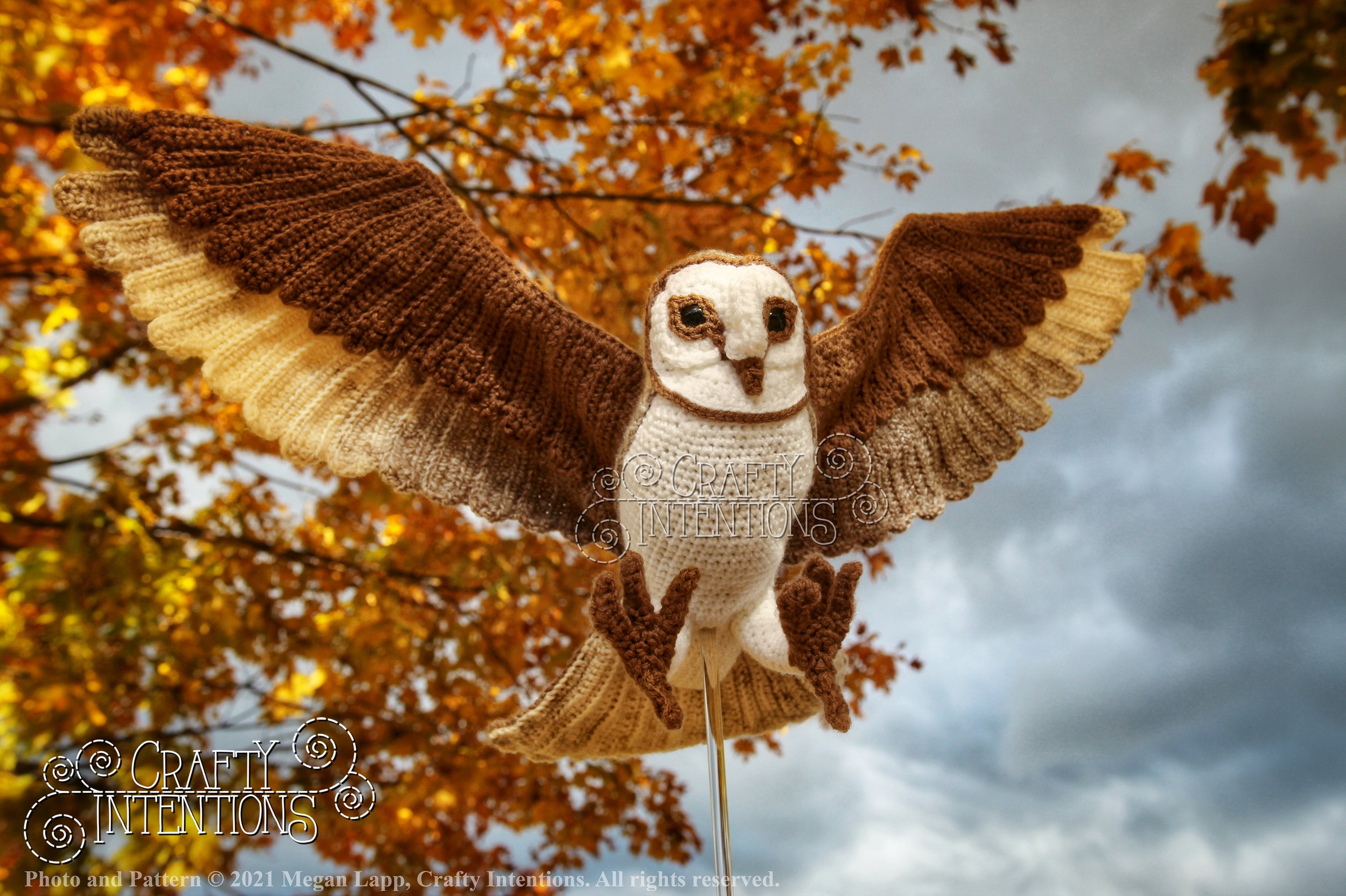 IMG_0076-01 with logo and copyright.jpg