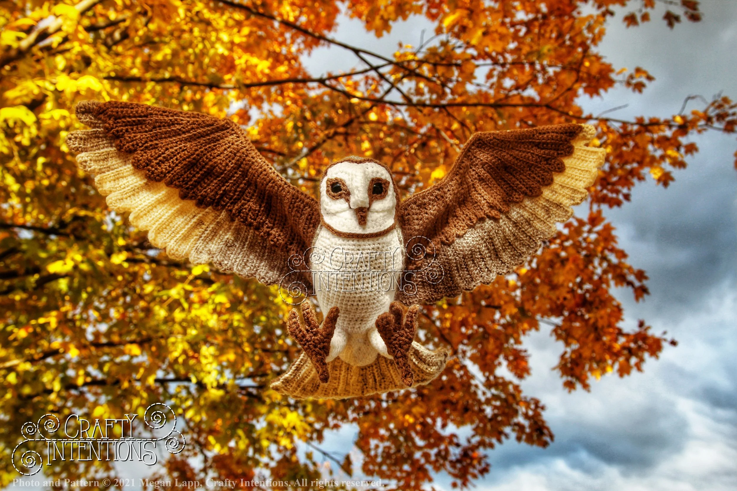 IMG_0081-01-01 LL with logo and copyright.jpg