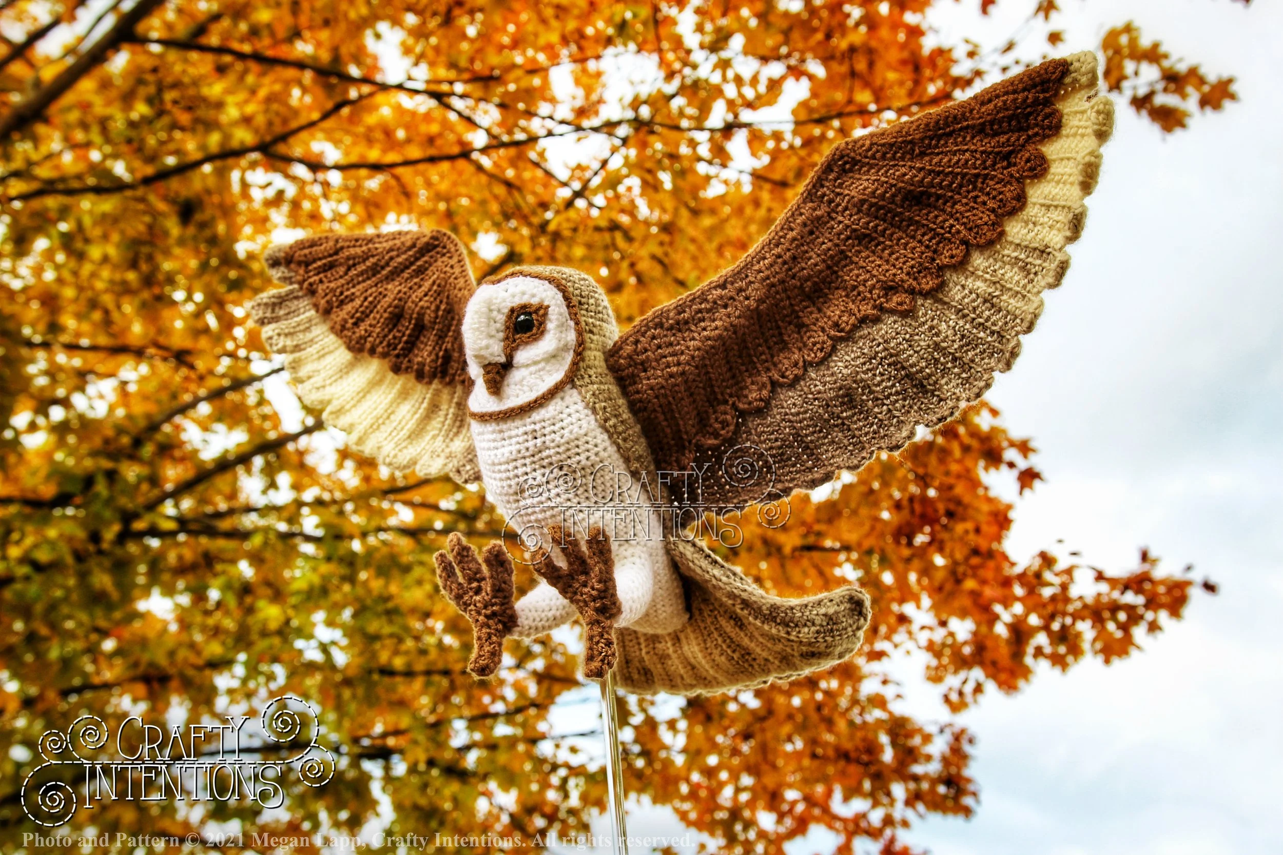 IMG_0091-01 with logo and copyright.jpg