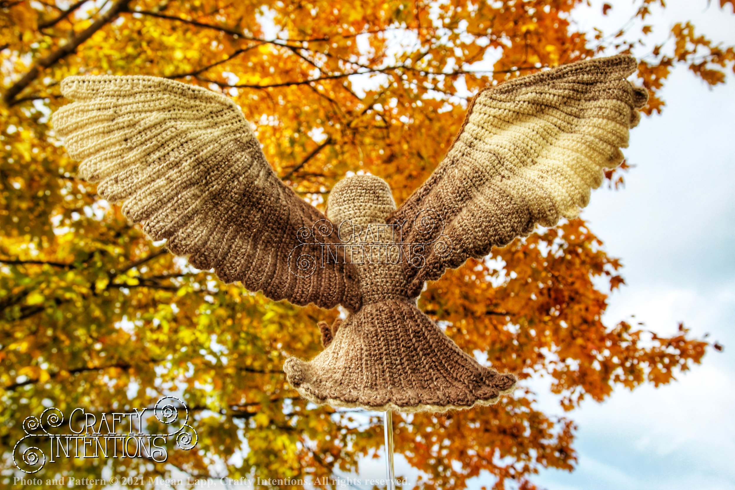 IMG_0094-01 with logo and copyright.jpg