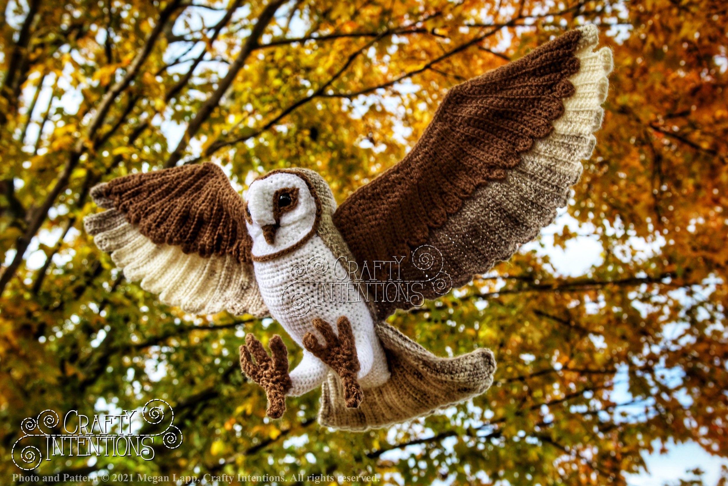 IMG_0102-01 LL with logo and copyright.jpg