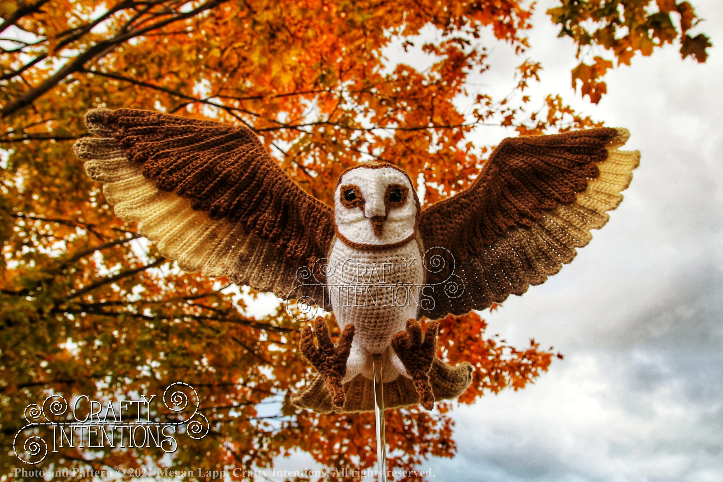 IMG_0108-01-01 with logo and copyright.jpg