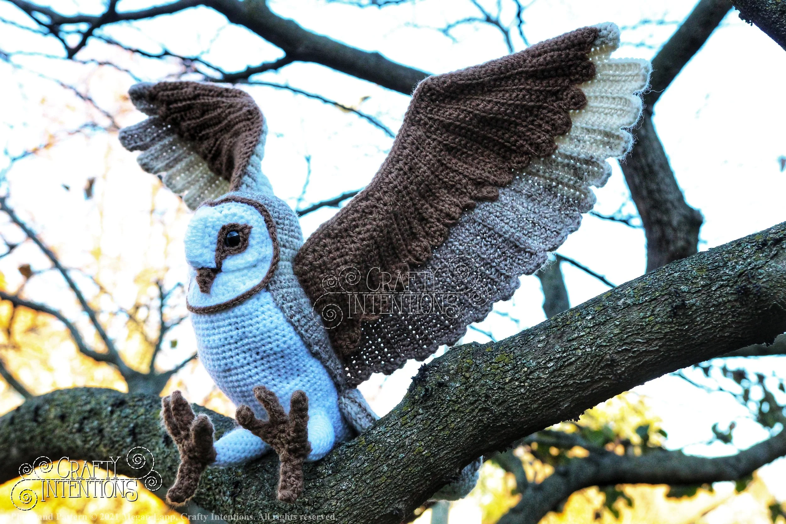 IMG_9952-01 with logo and copyright.jpg