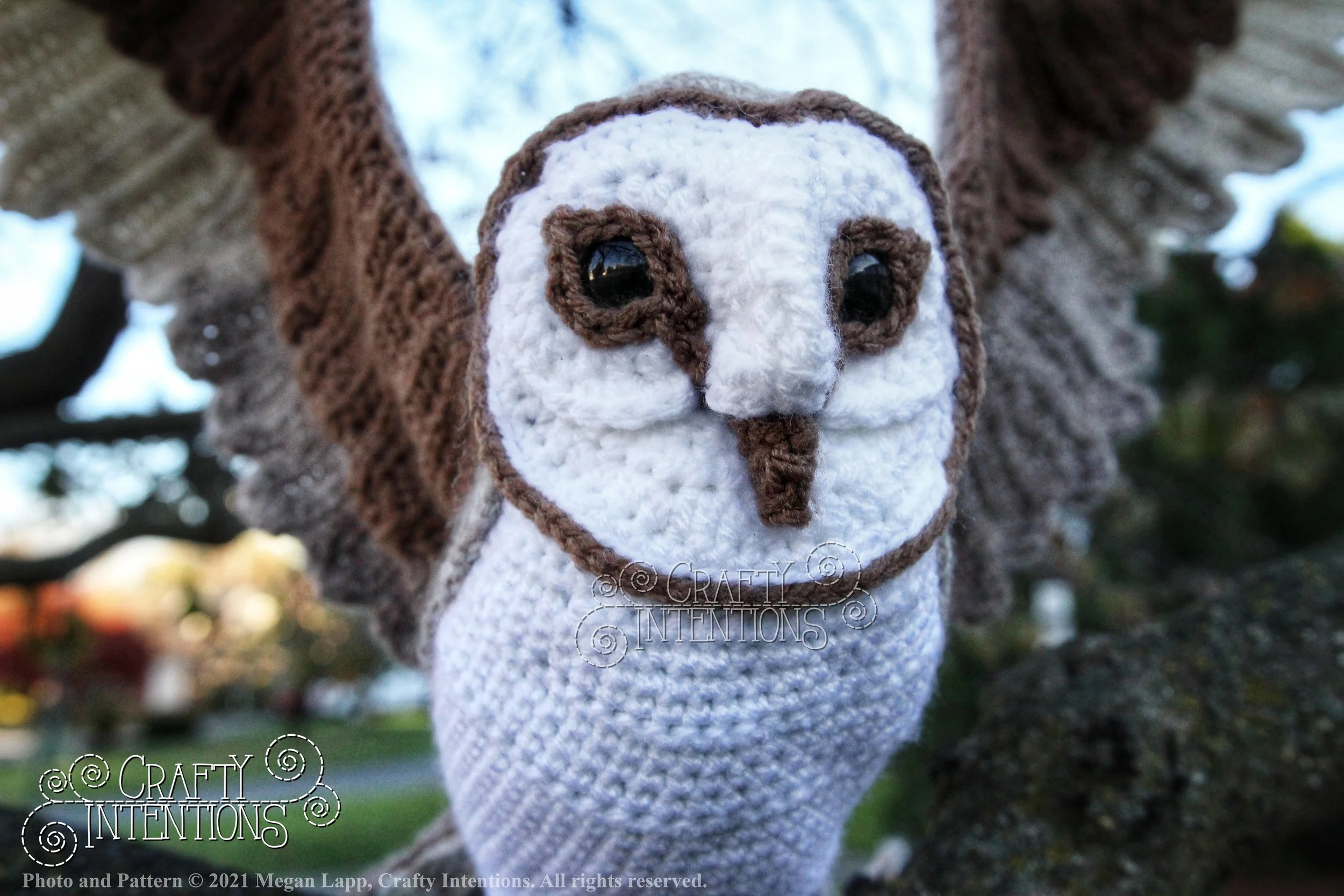 IMG_9964-01 with logo and copyright.jpg