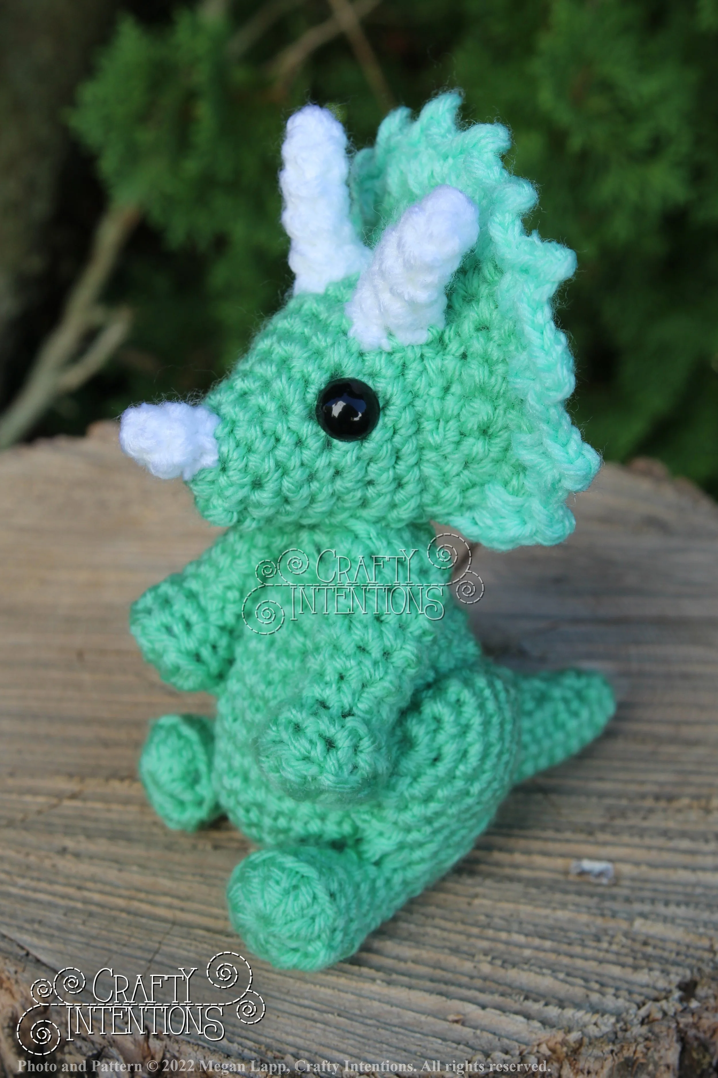 IMG_8164 with logo and copyright.jpg