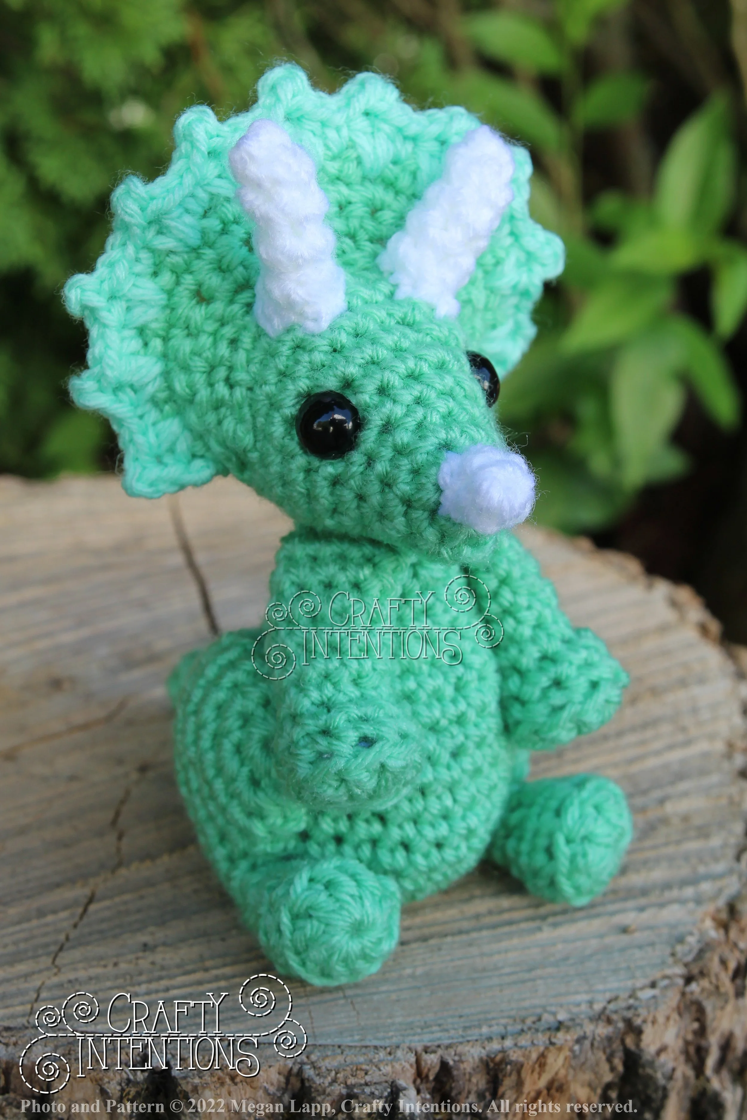 IMG_8162 with logo and copyright.jpg