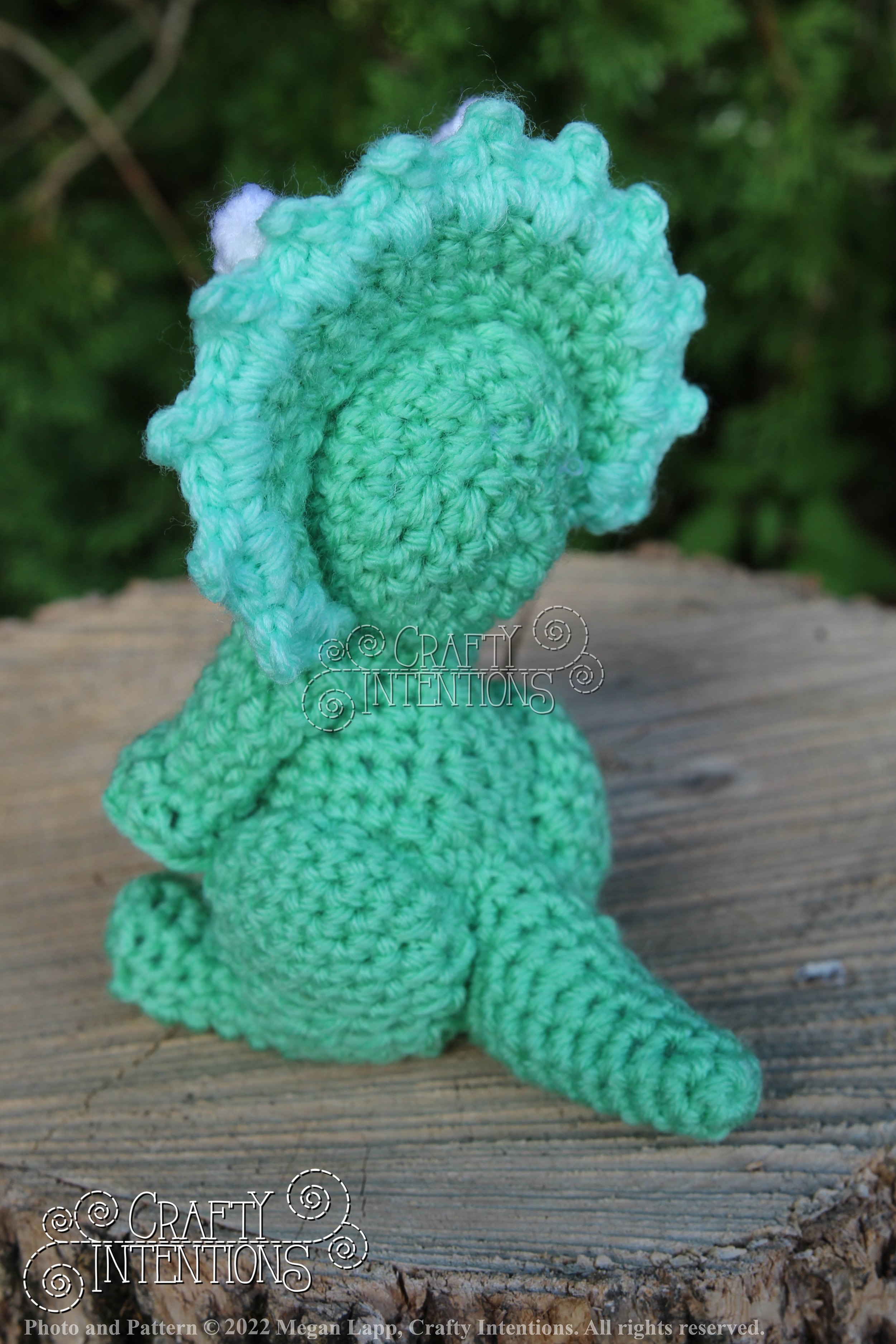 IMG_8170 with logo and copyright.jpg