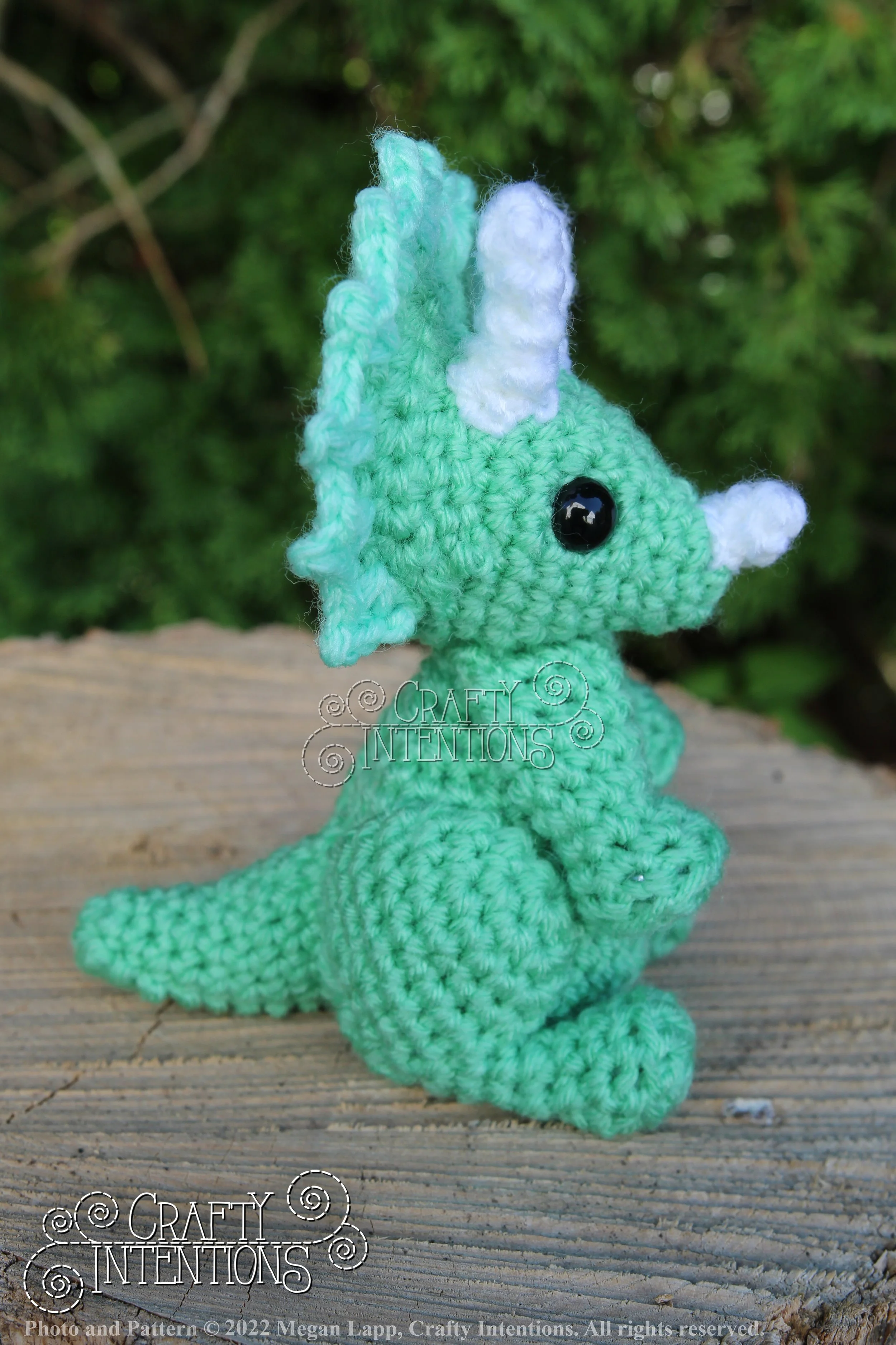 IMG_8175 with logo and copyright 2.jpg