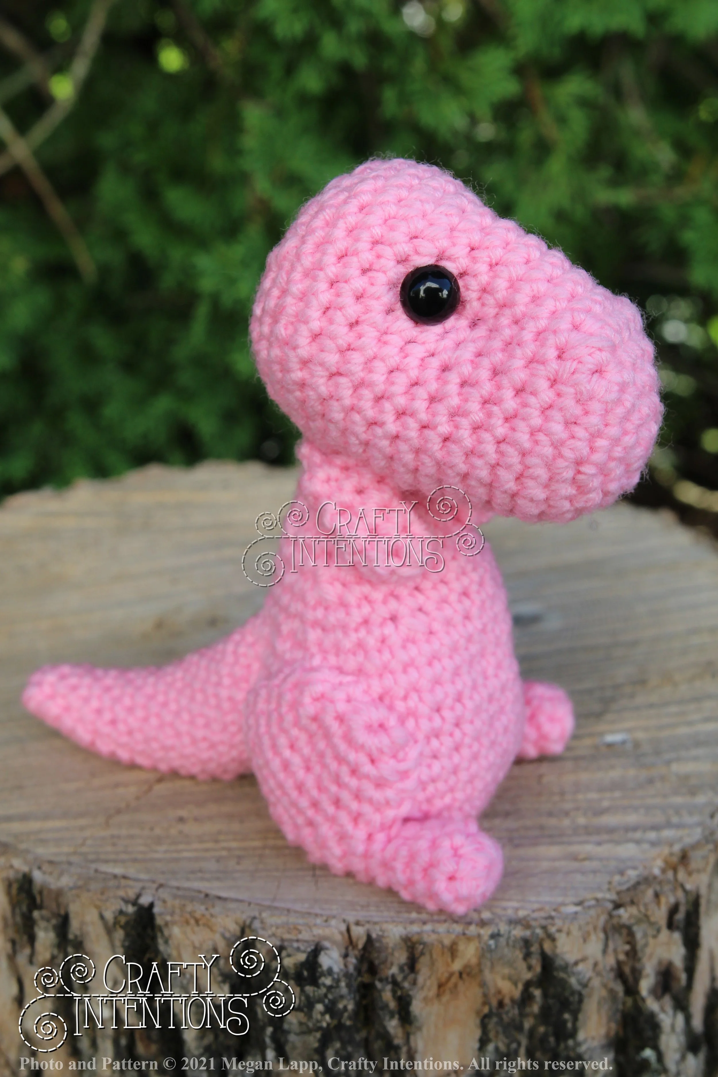 IMG_8177 with logo and copyright.jpg