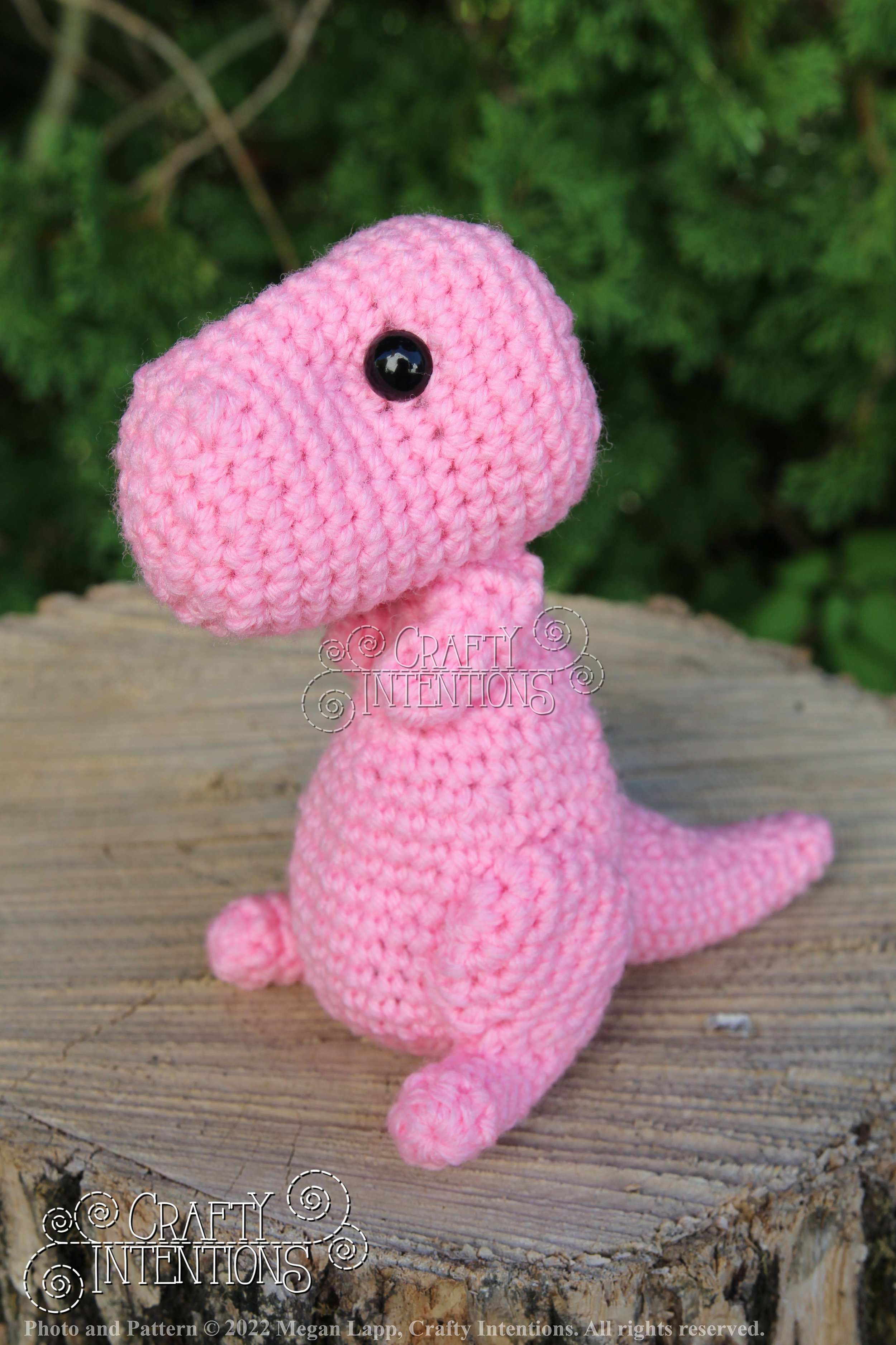 IMG_8180 with logo and copyright.jpg