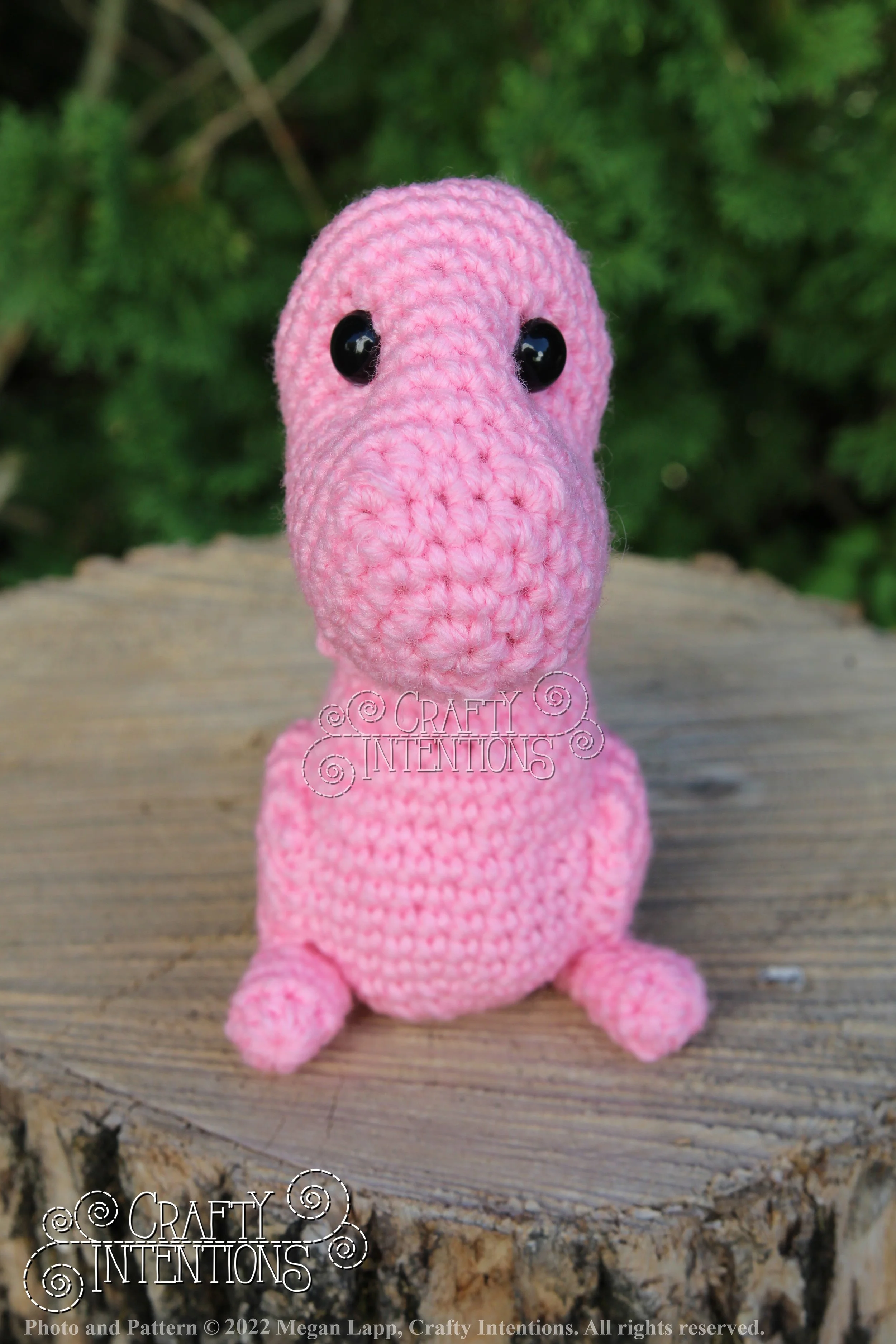 IMG_8184 with logo and copyright.jpg