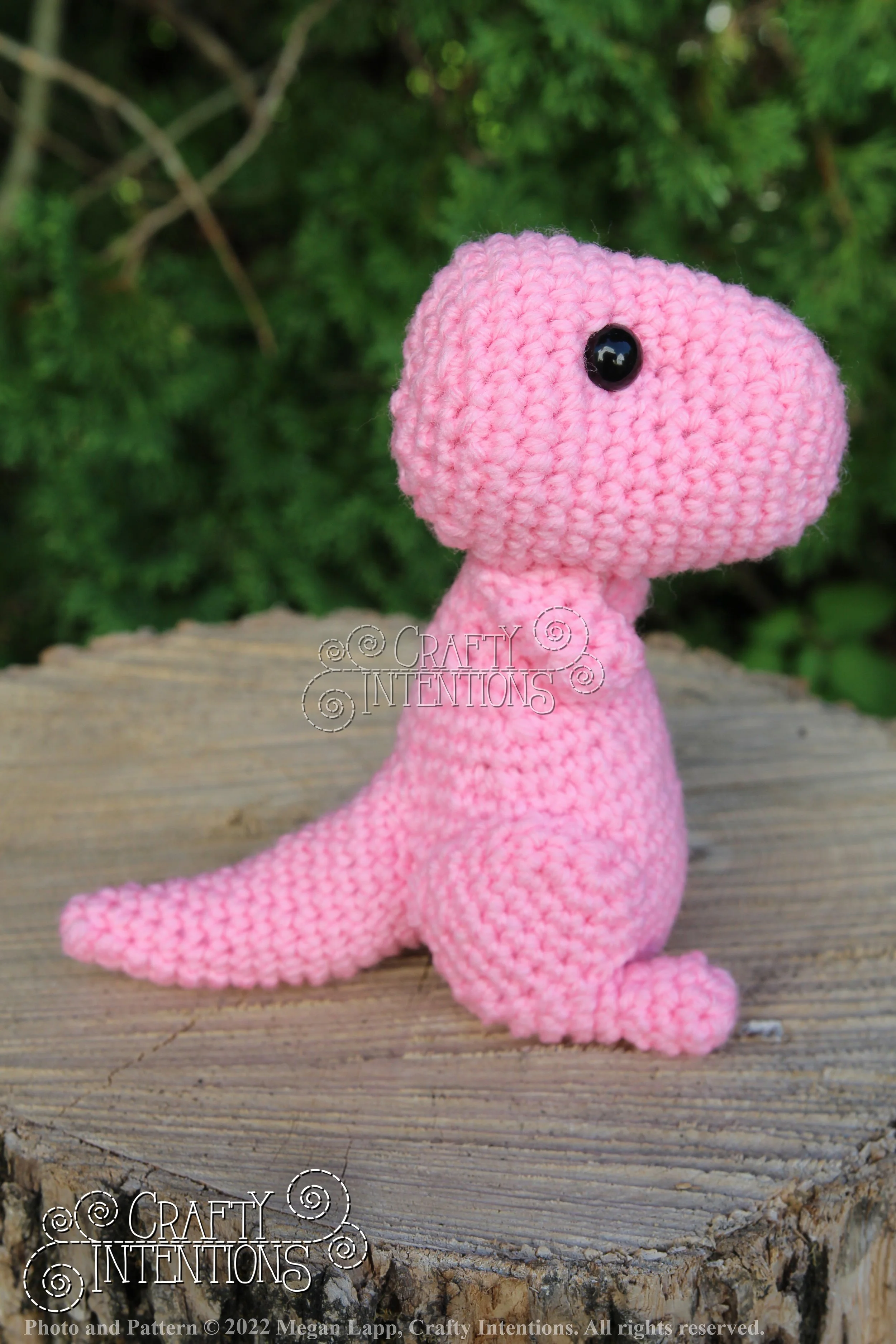 IMG_8188 with logo and copyright.jpg