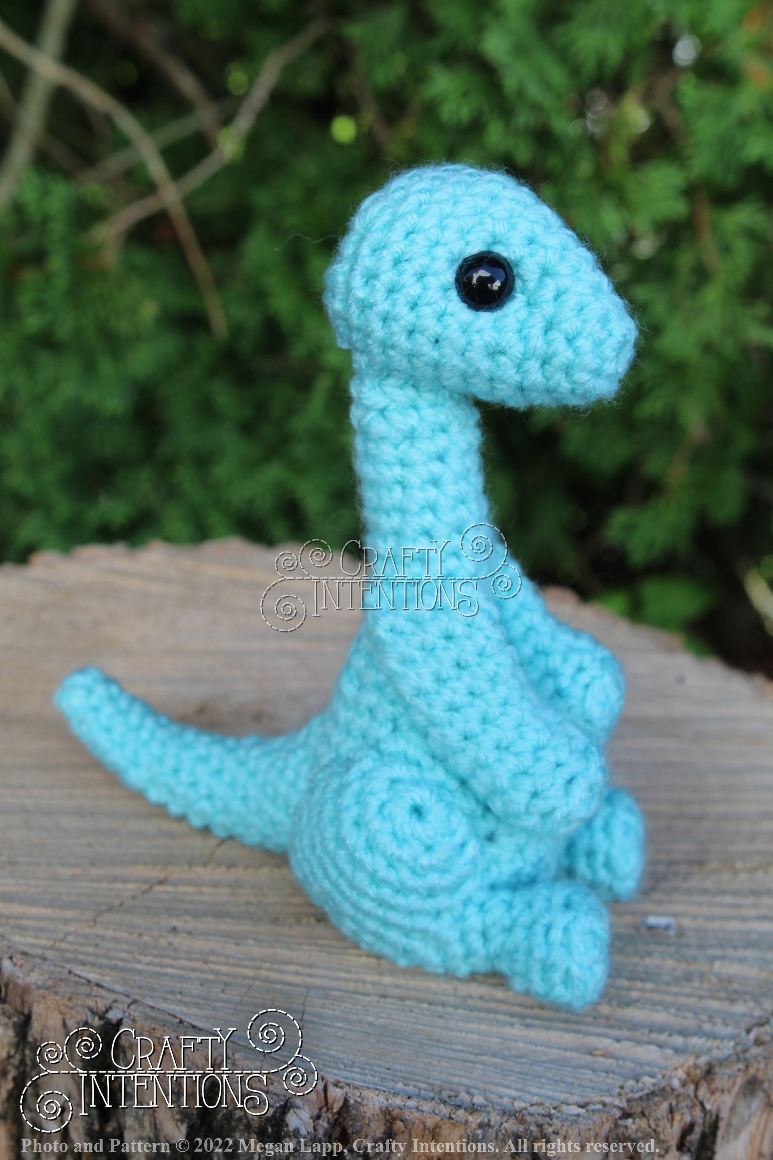 IMG_8192 with logo and copyright.jpg