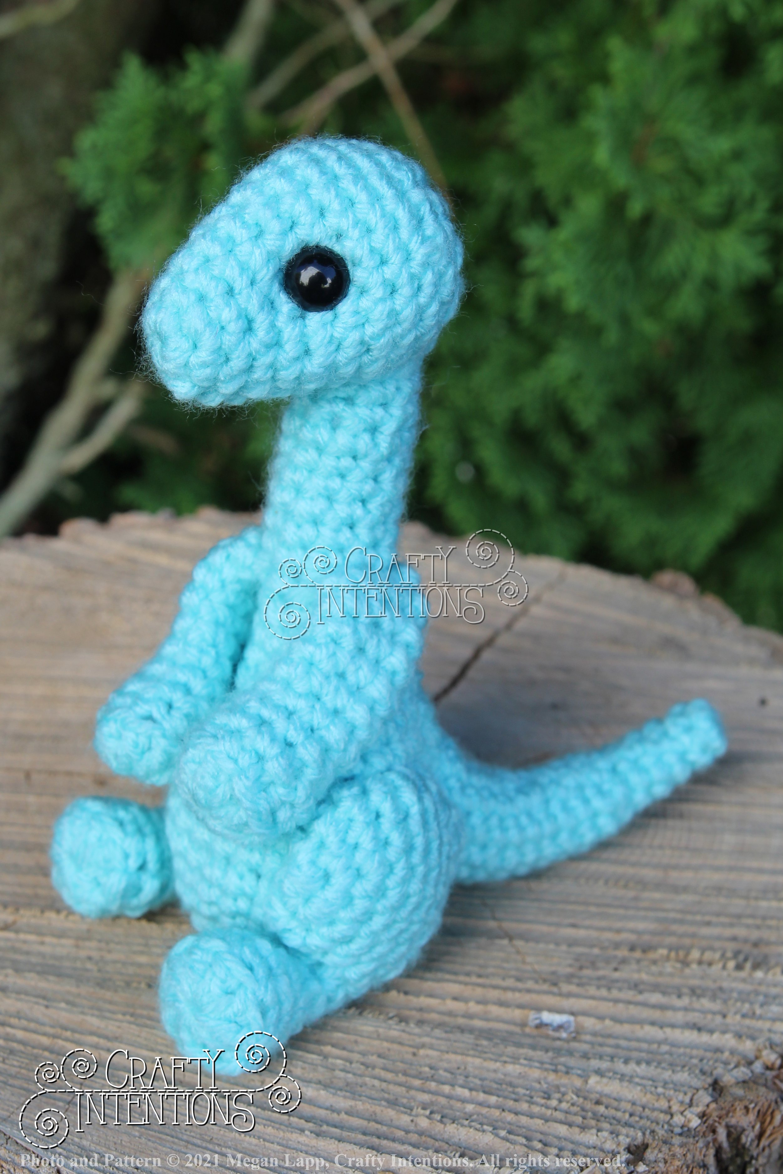 IMG_8200 with logo and copyright.jpg