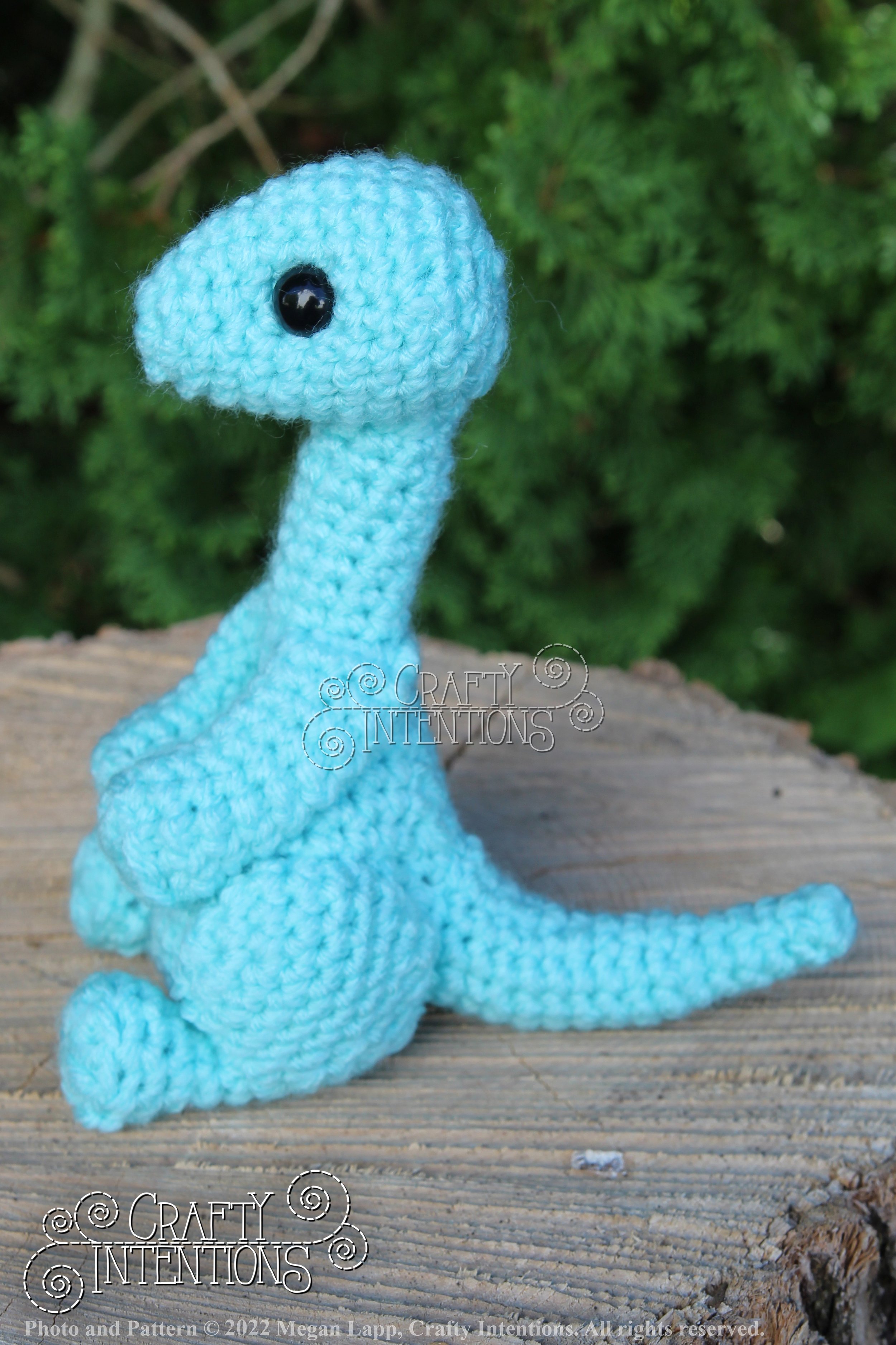 IMG_8206 with logo and copyright.jpg