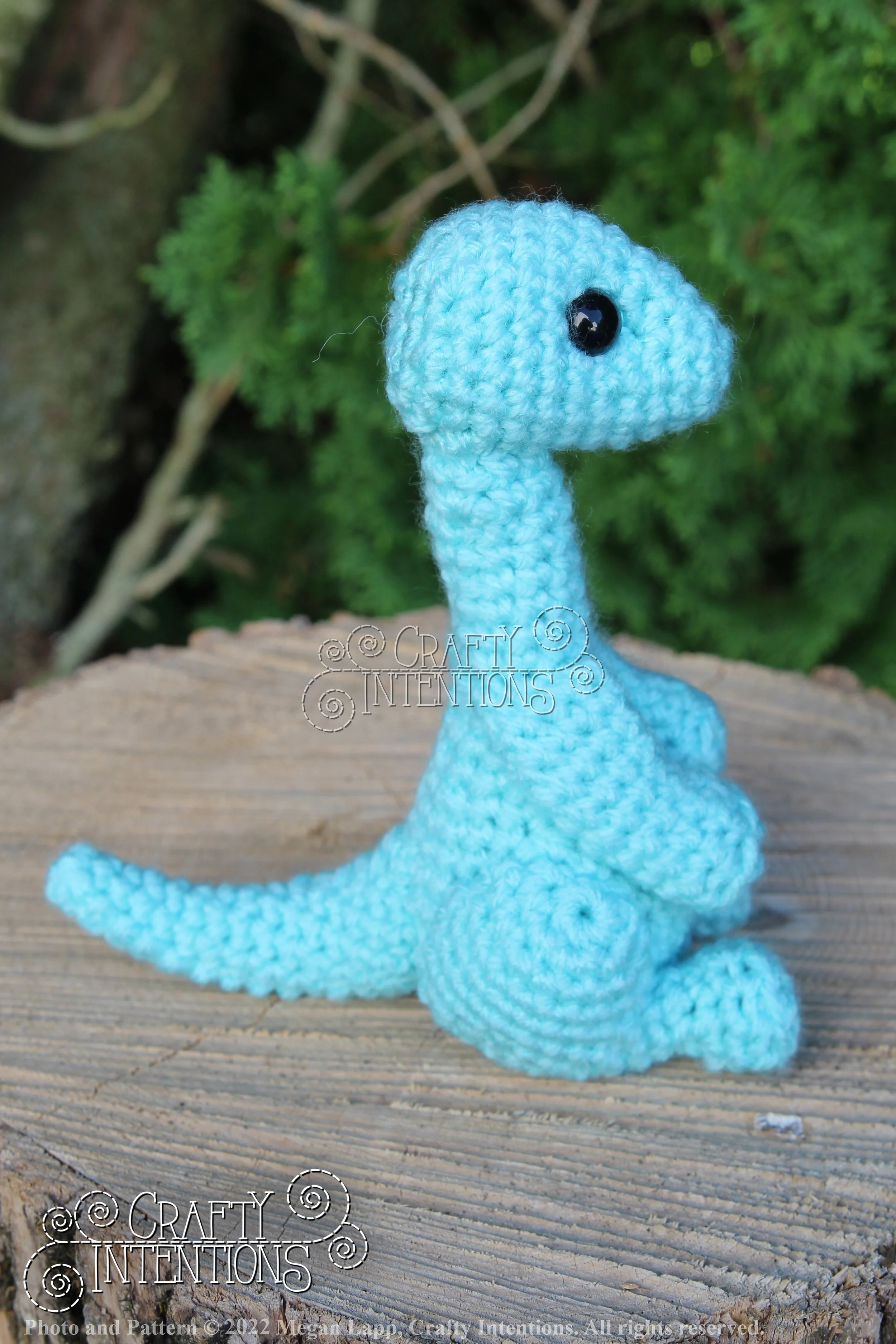 IMG_8211 with logo and copyright.jpg