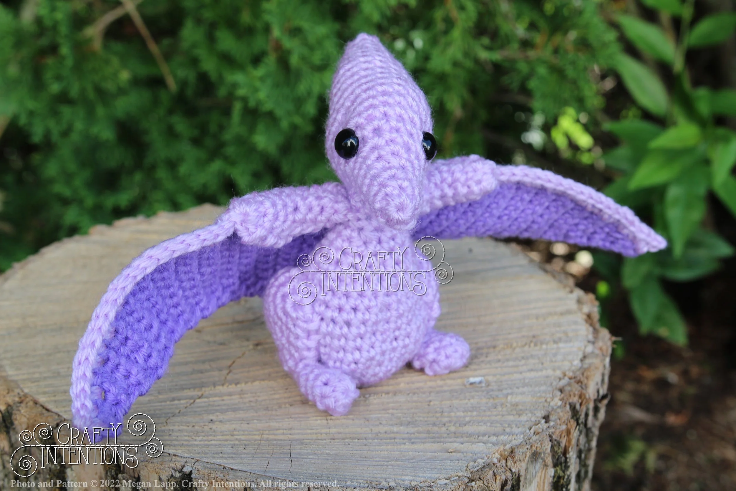 IMG_8215 with logo and copyright.jpg