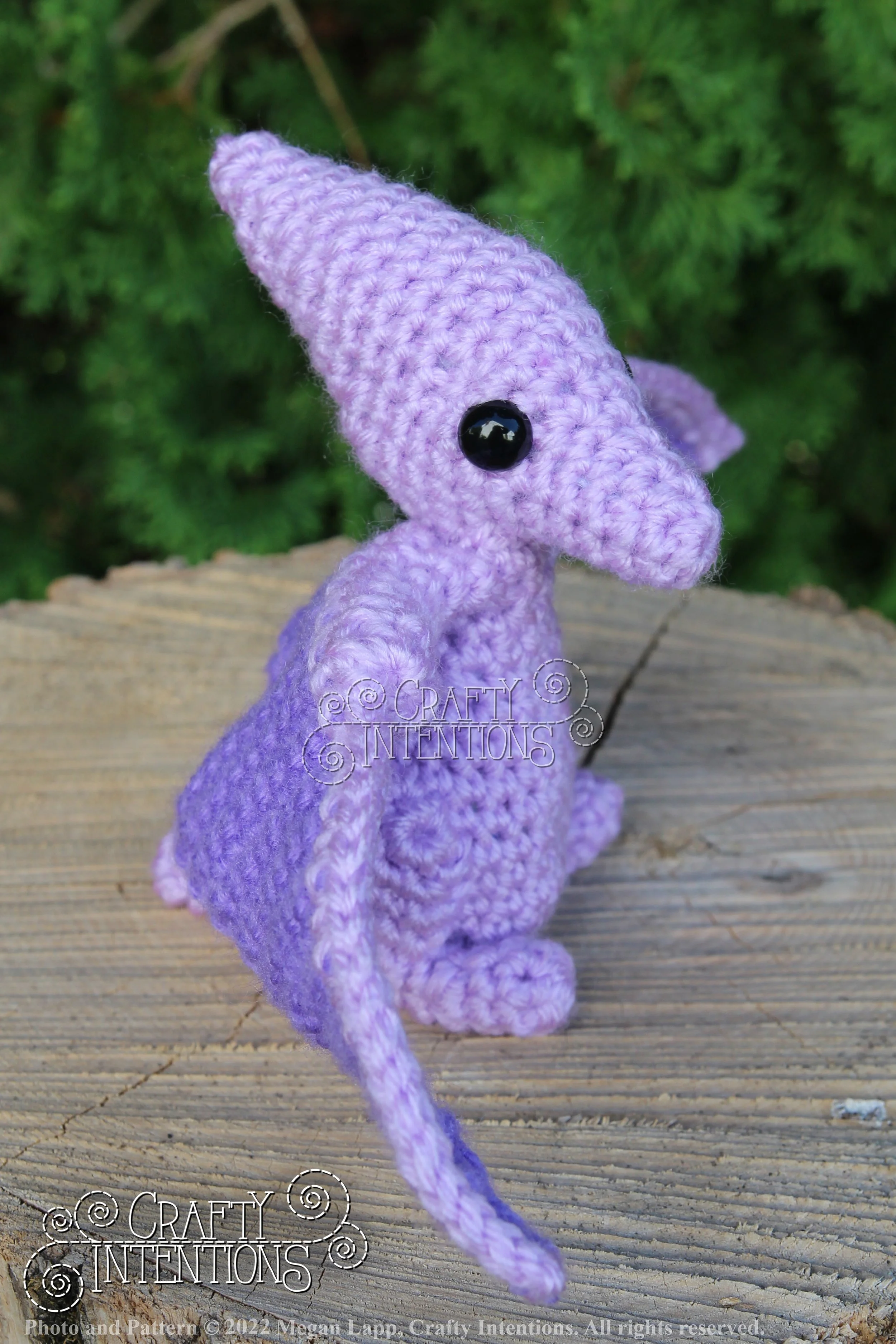 IMG_8218 with logo and copyright.jpg