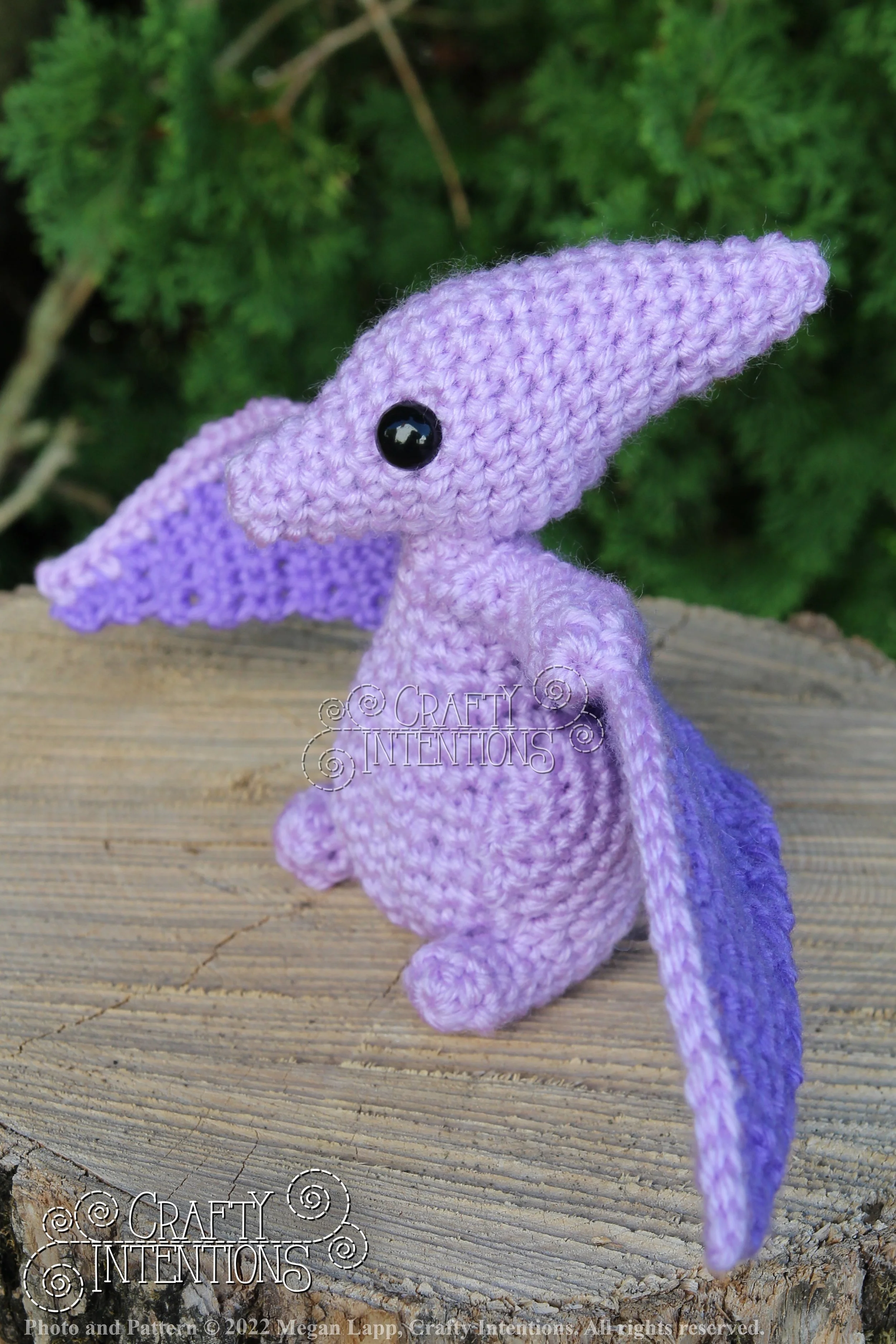 IMG_8221 with logo and copyright.jpg