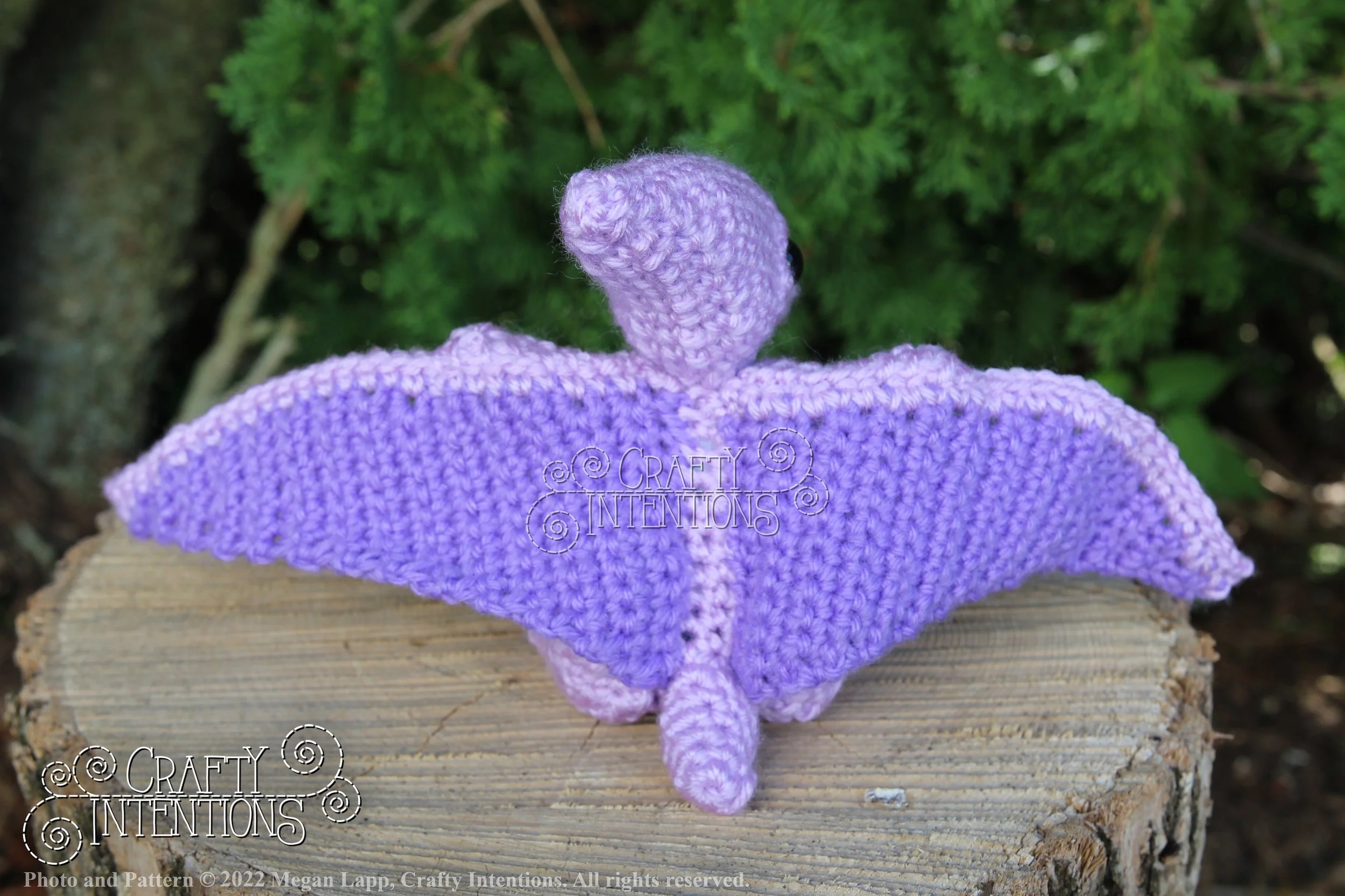 IMG_8225 with logo and copyright.jpg