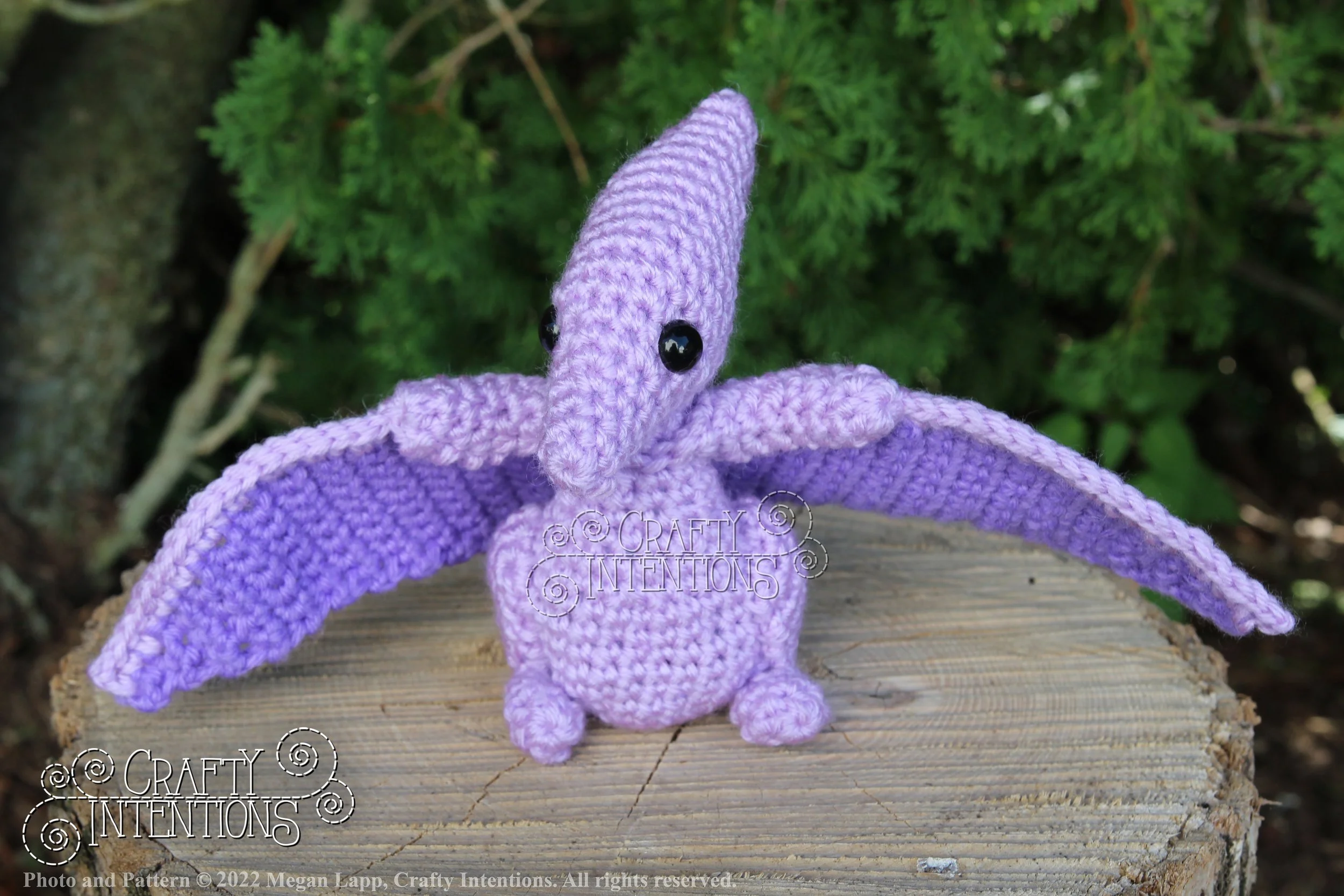 IMG_8226 with logo and copyright.jpg