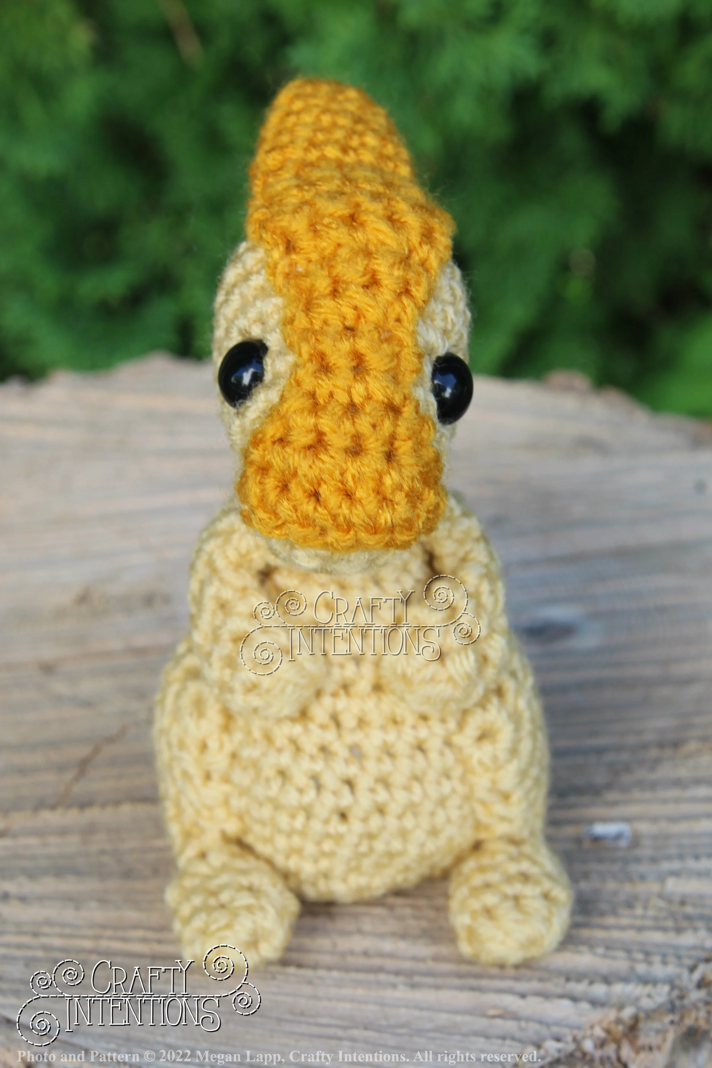 IMG_8233 with logo and copyright.jpg